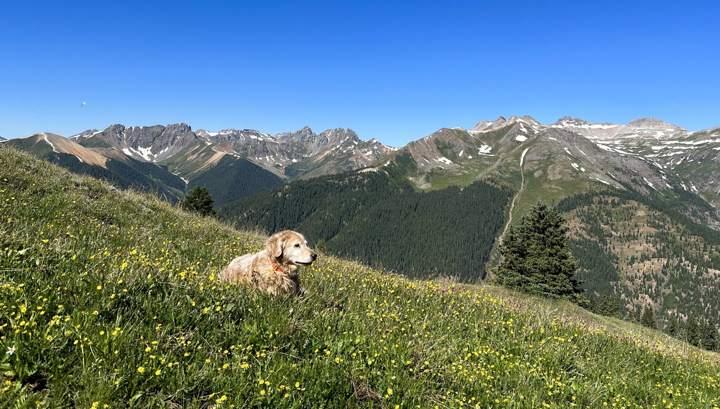 Ford Bronco Sport Hit the Ophir Pass and Brown’s Gulch in Southwest Colorado IMG_6330