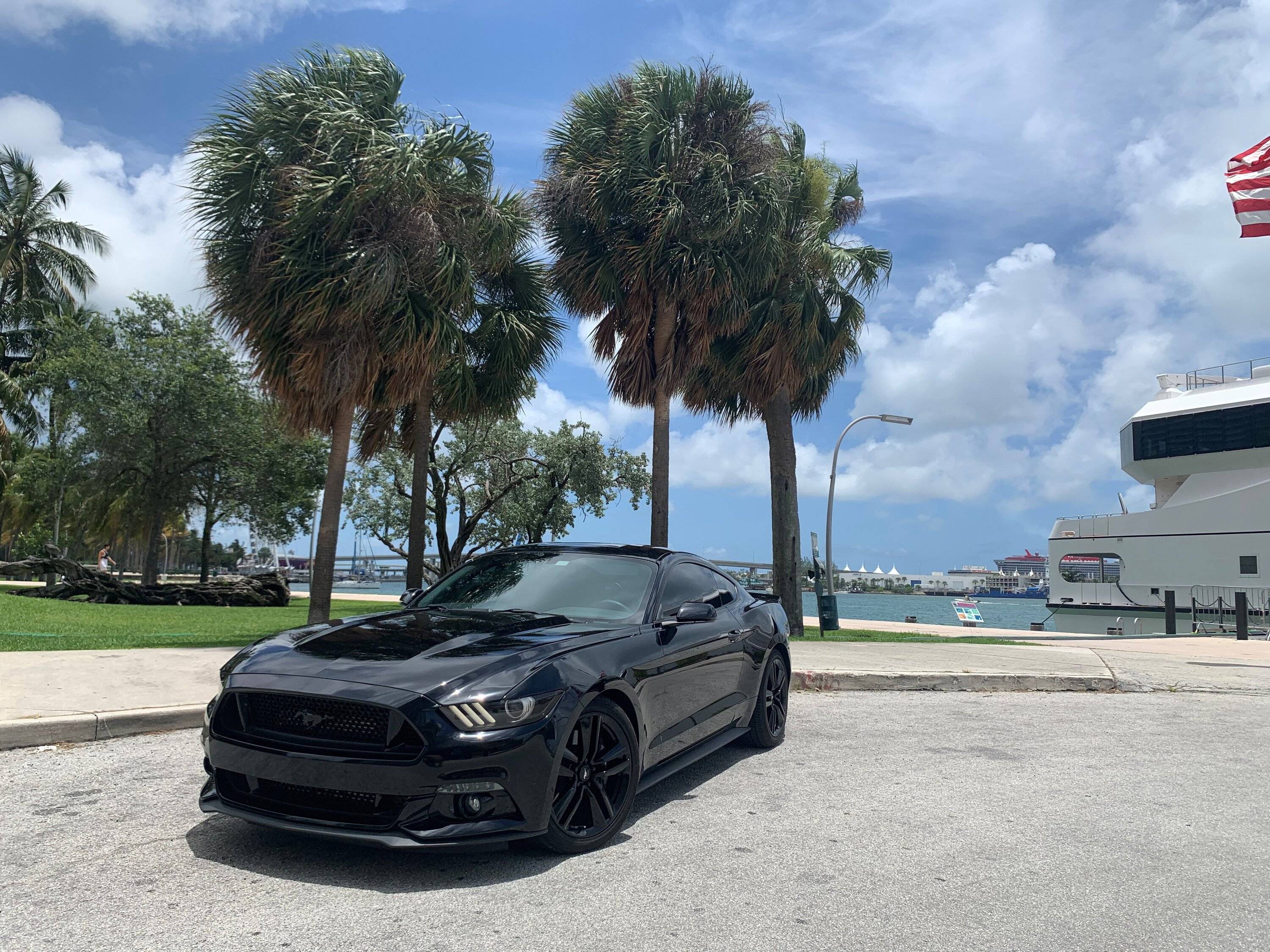 Ford Bronco Sport 2024 Bronco Sport Free Wheeling Special Edition Revealed + New Black Appearance Package mustan