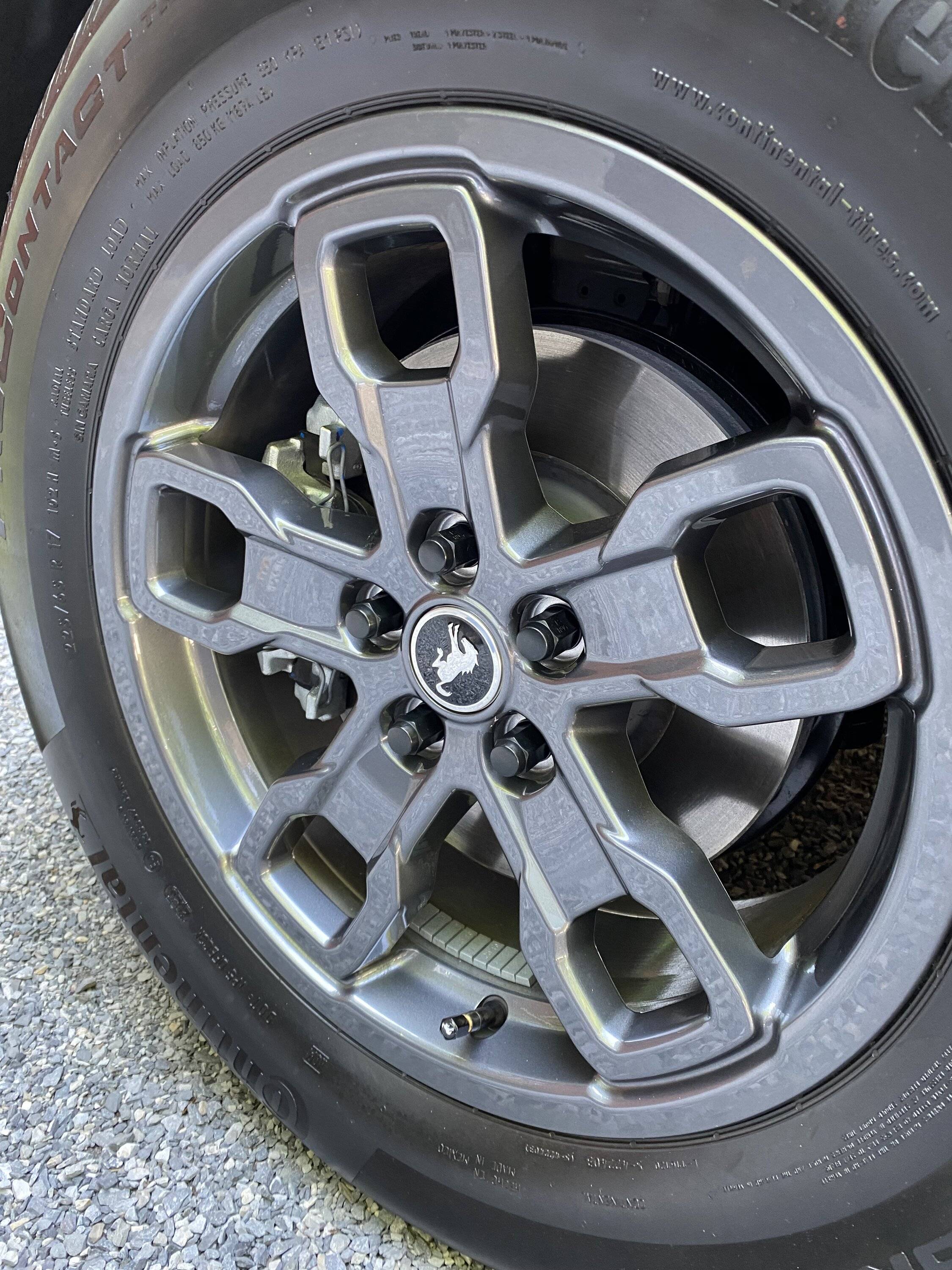 Ford Bronco Sport Swollen Nuts? IMG_2088