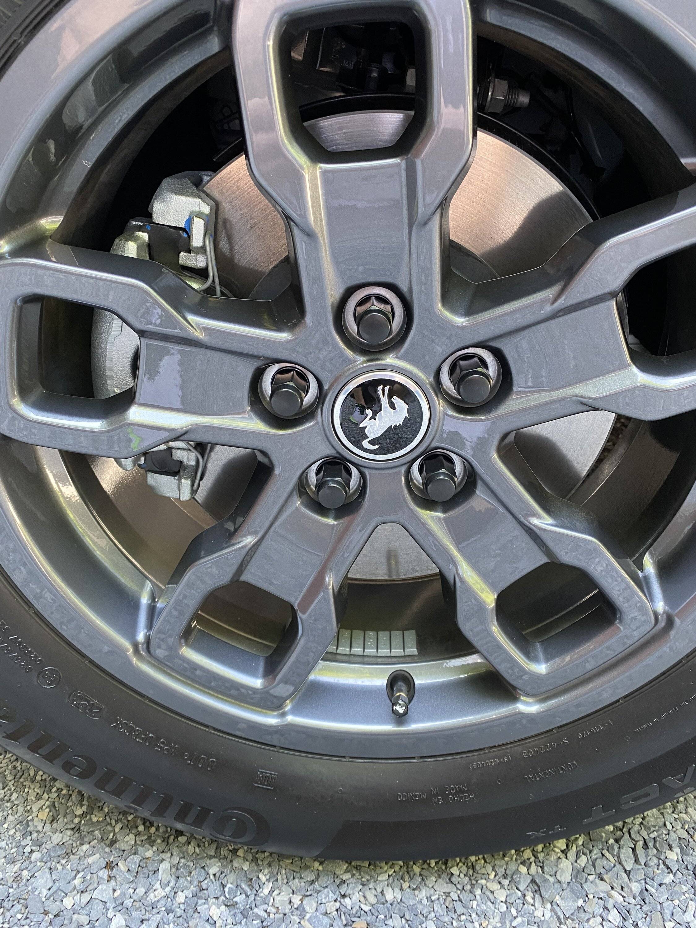 Ford Bronco Sport Swollen Nuts? IMG_2087