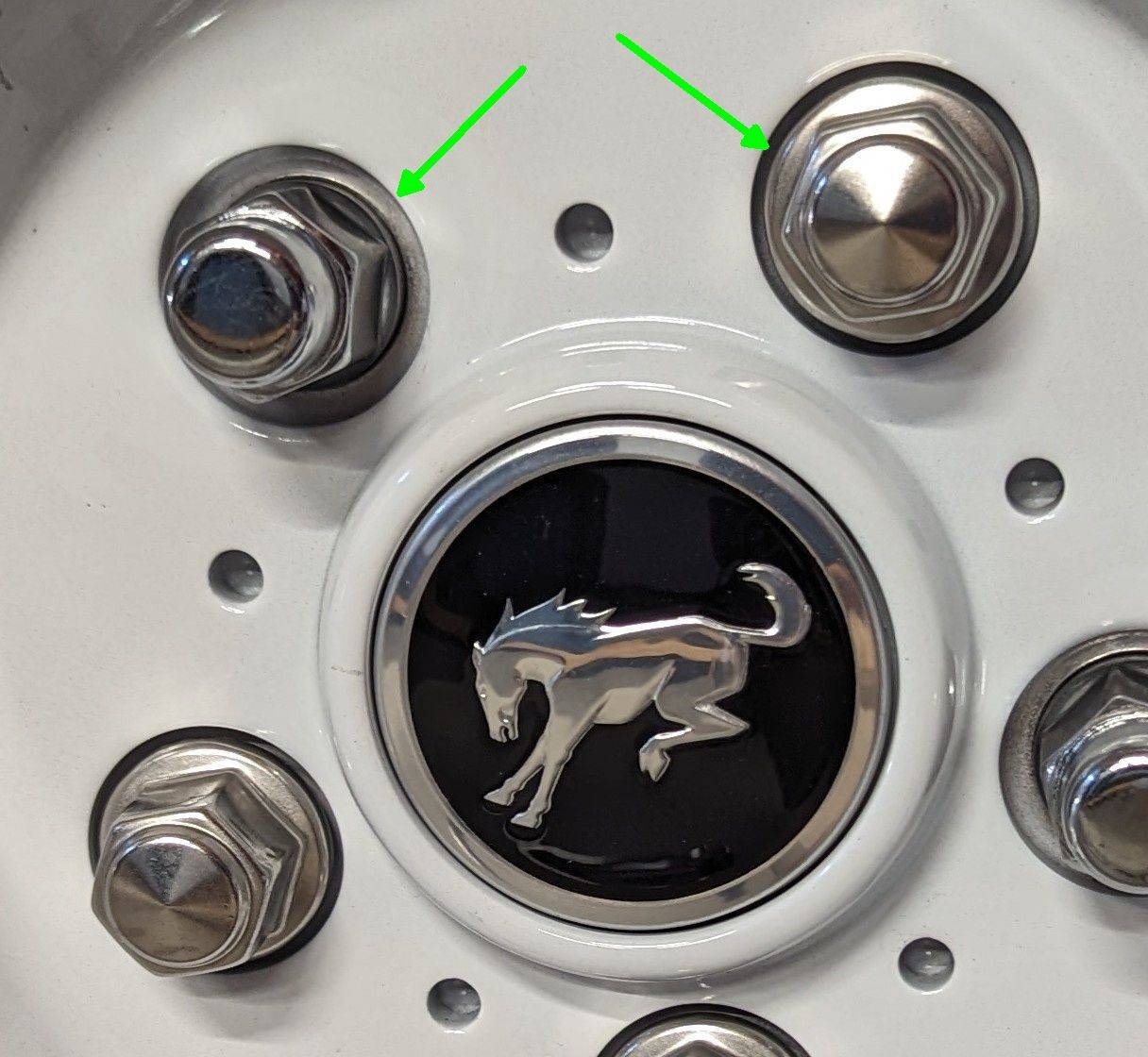 Ford Bronco Sport Swollen Nuts? PXL_20230808_214642420~2