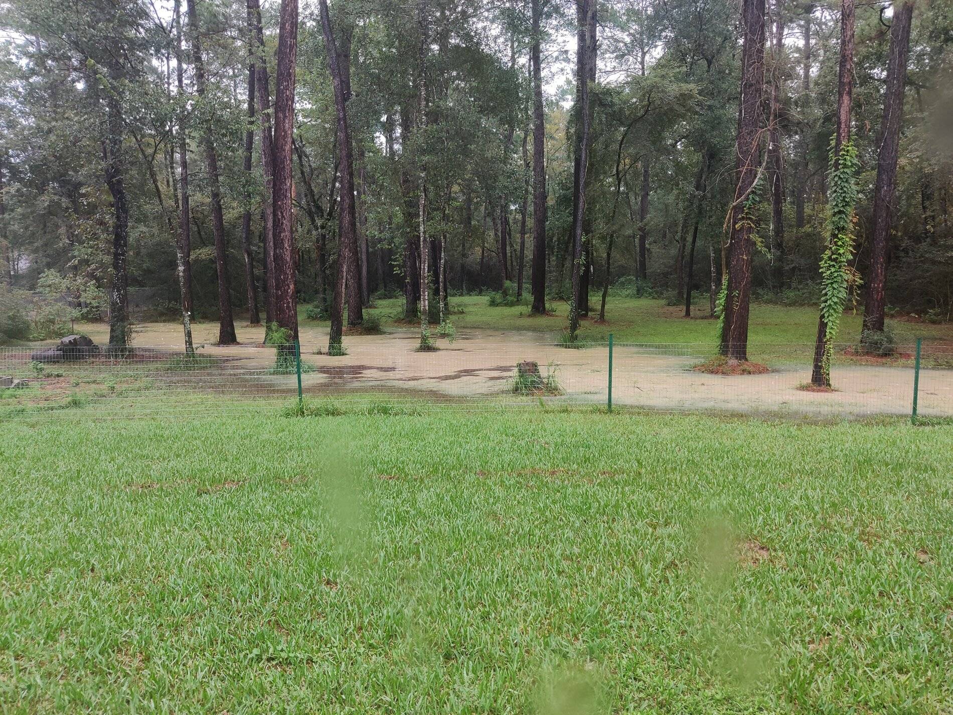 Ford Bronco Sport Howdy Texas Fam! IMG_20200922_095255
