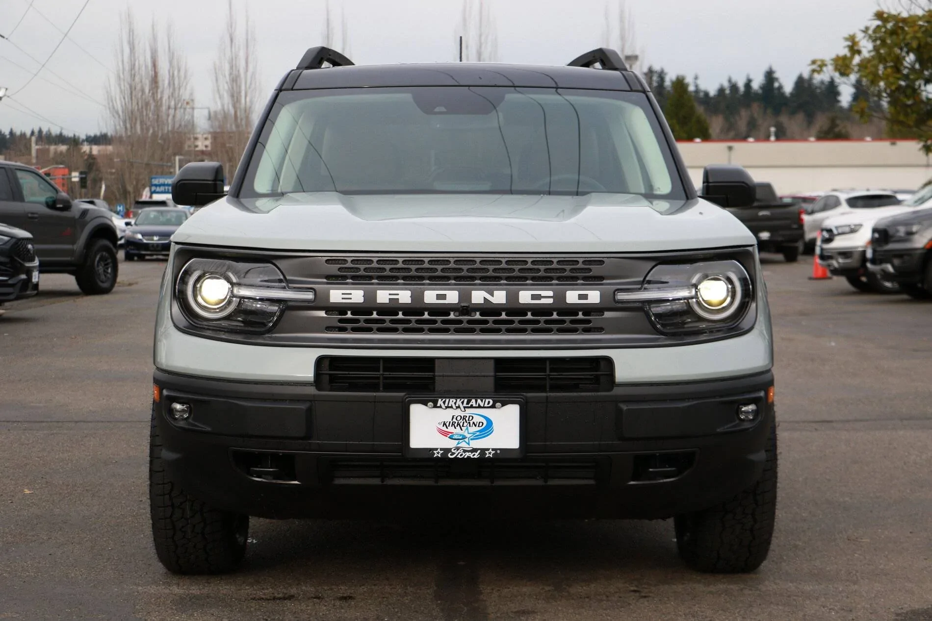 Ford Bronco Sport Official CACTUS GRAY Bronco Sport Thread 3V4A0609