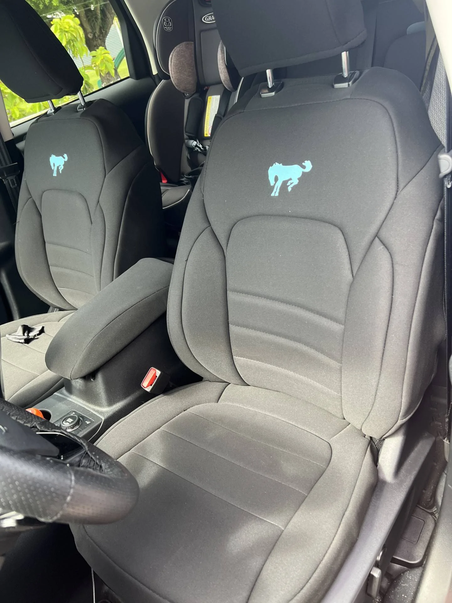 Ford Bronco Sport Introducing..."The Swamp Ape" thumbnail_IMG_4810