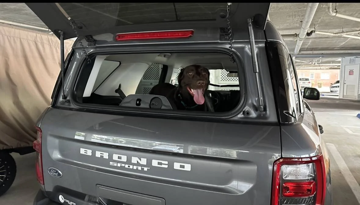 Ford Bronco Sport Show me your dogs!! IMG_6822