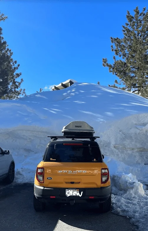 Ford Bronco Sport 1 year anniversary and a Coyote 1693525431029