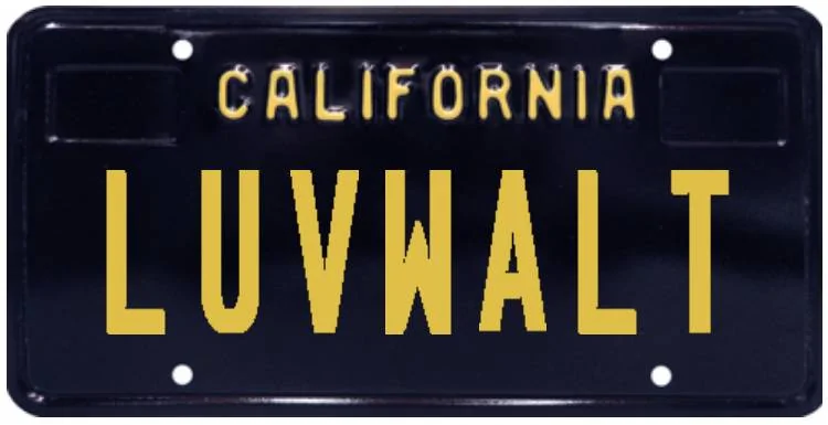 Ford Bronco Sport Vanity Tags 1693852722881