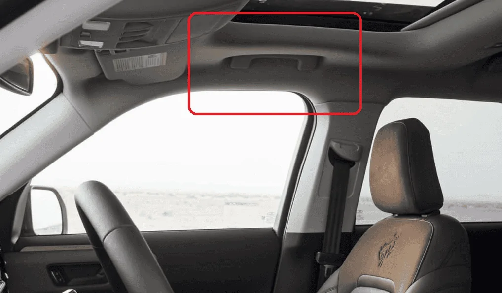 Ford Bronco Sport Overhead Driver's Door Entry Assist Handle 1693855982425