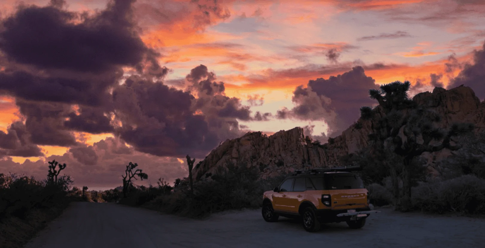 Ford Bronco Sport 1 year anniversary and a Coyote 1694148052020