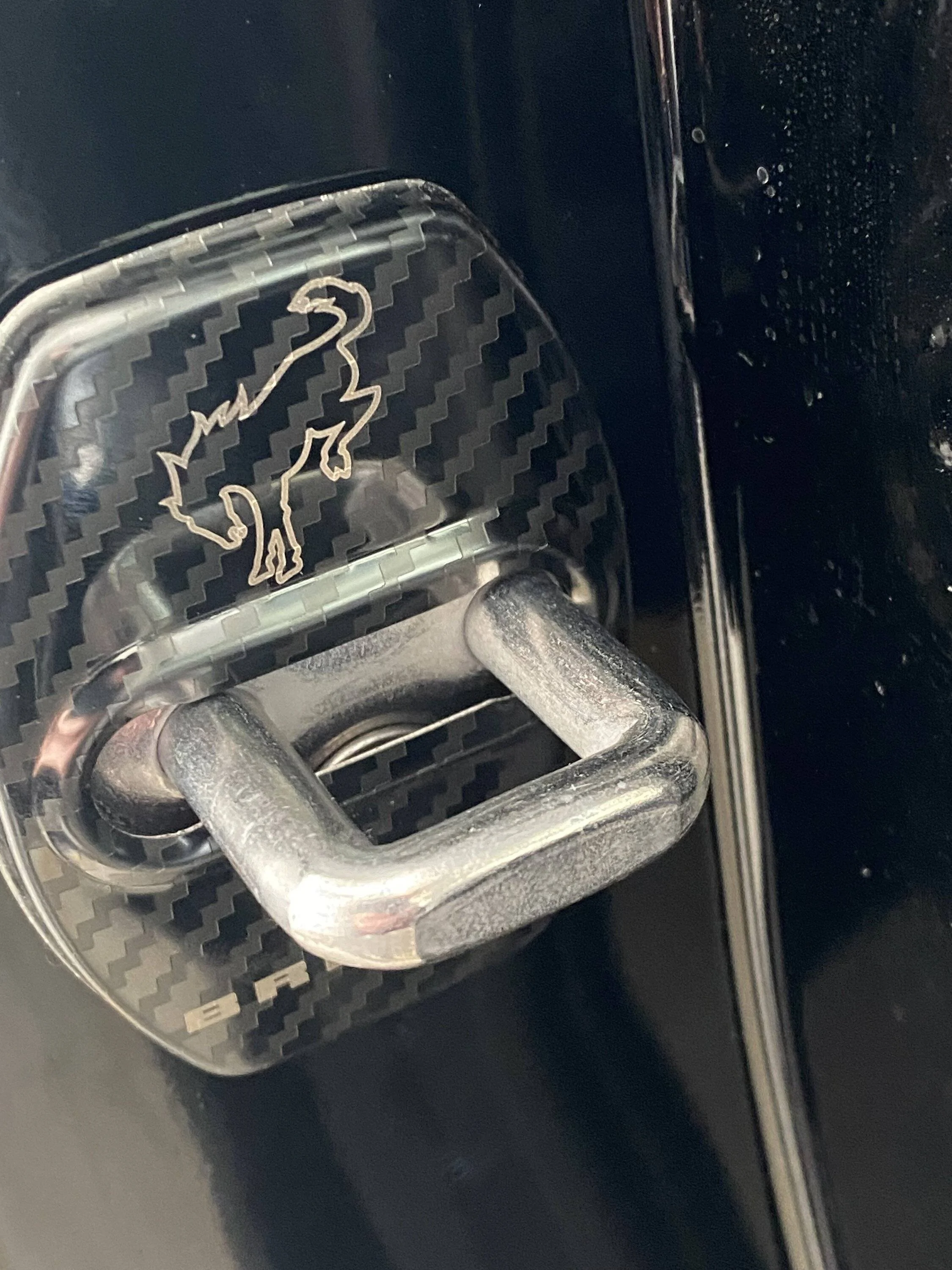 Ford Bronco Sport Recommended cosmetic upgrades IMG_7040