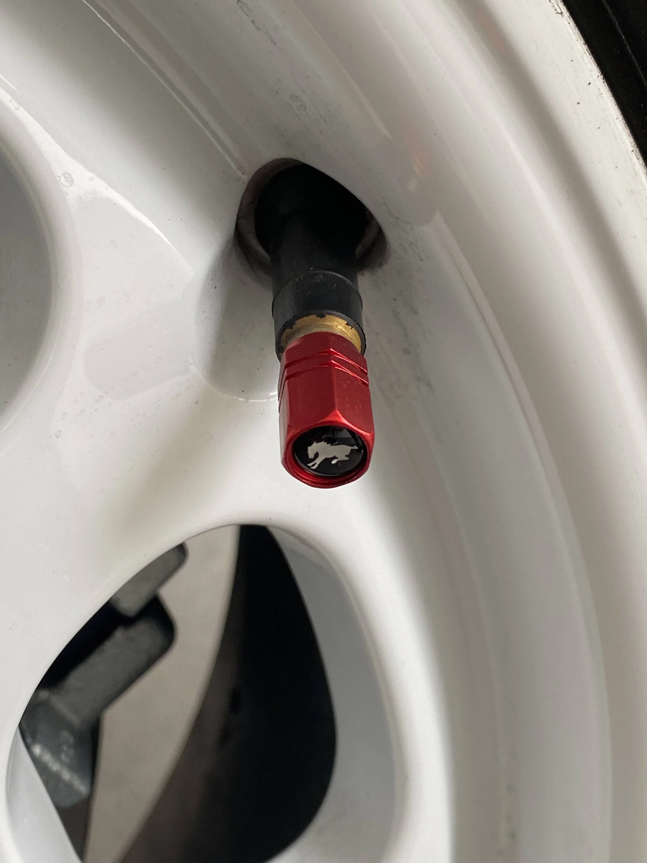 Ford Bronco Sport Recommended cosmetic upgrades IMG_7039