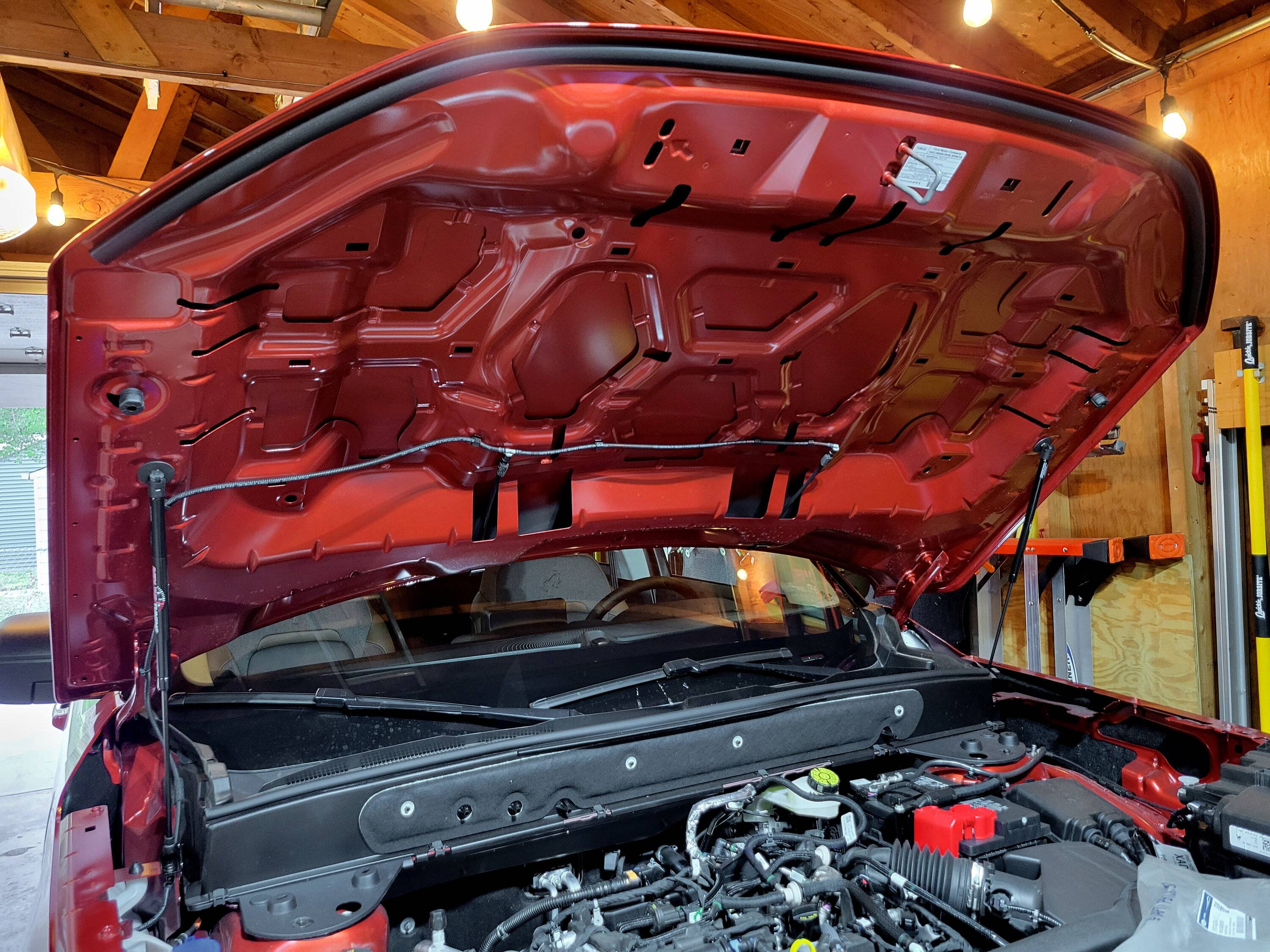 Ford Bronco Sport What did you do TO your Bronco Sport today? 20230906_173100