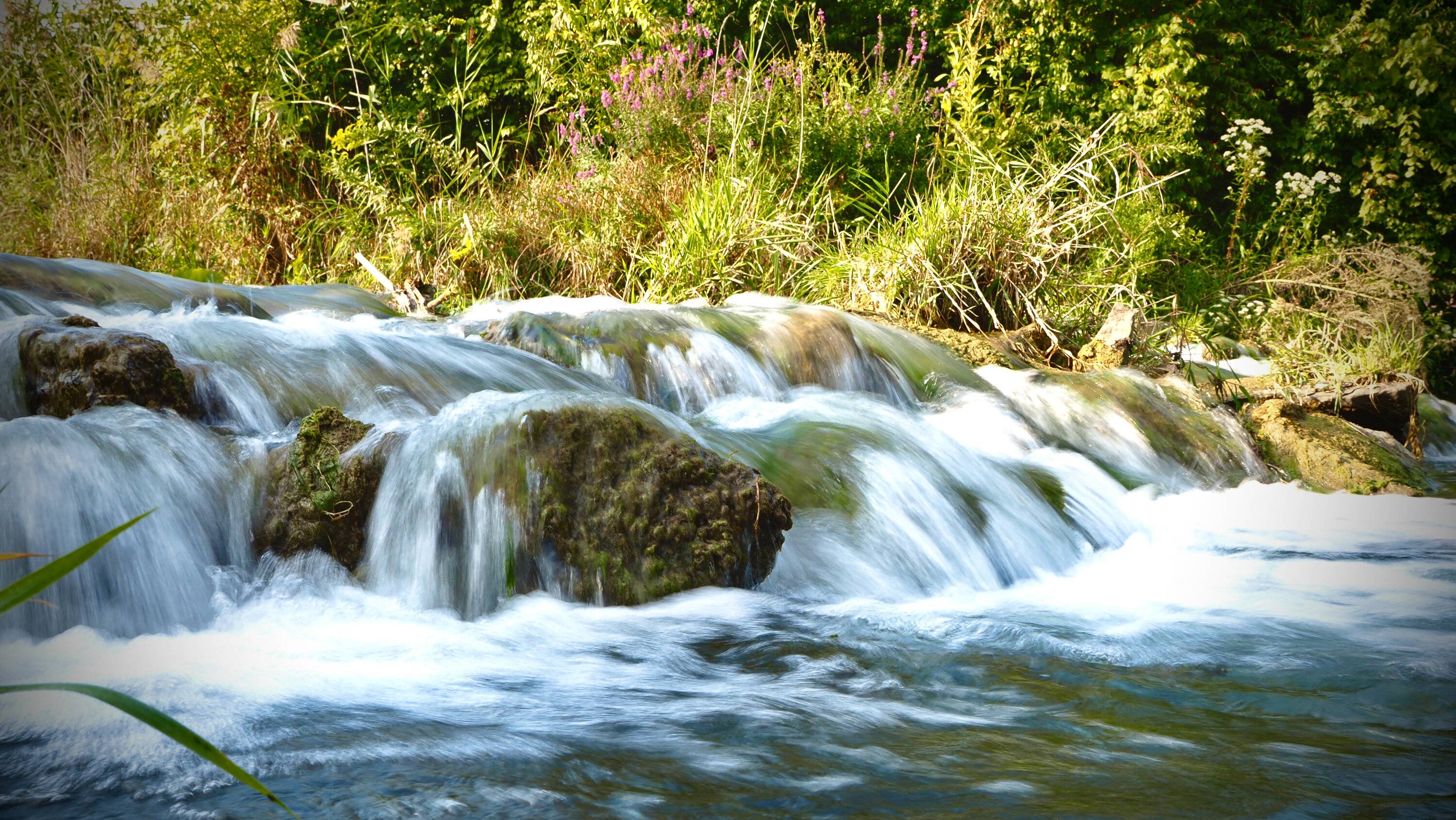 Ford Bronco Sport '23 Bronco Sport Badlands... fully loaded and ready for summer! BB_BRNCO_2004