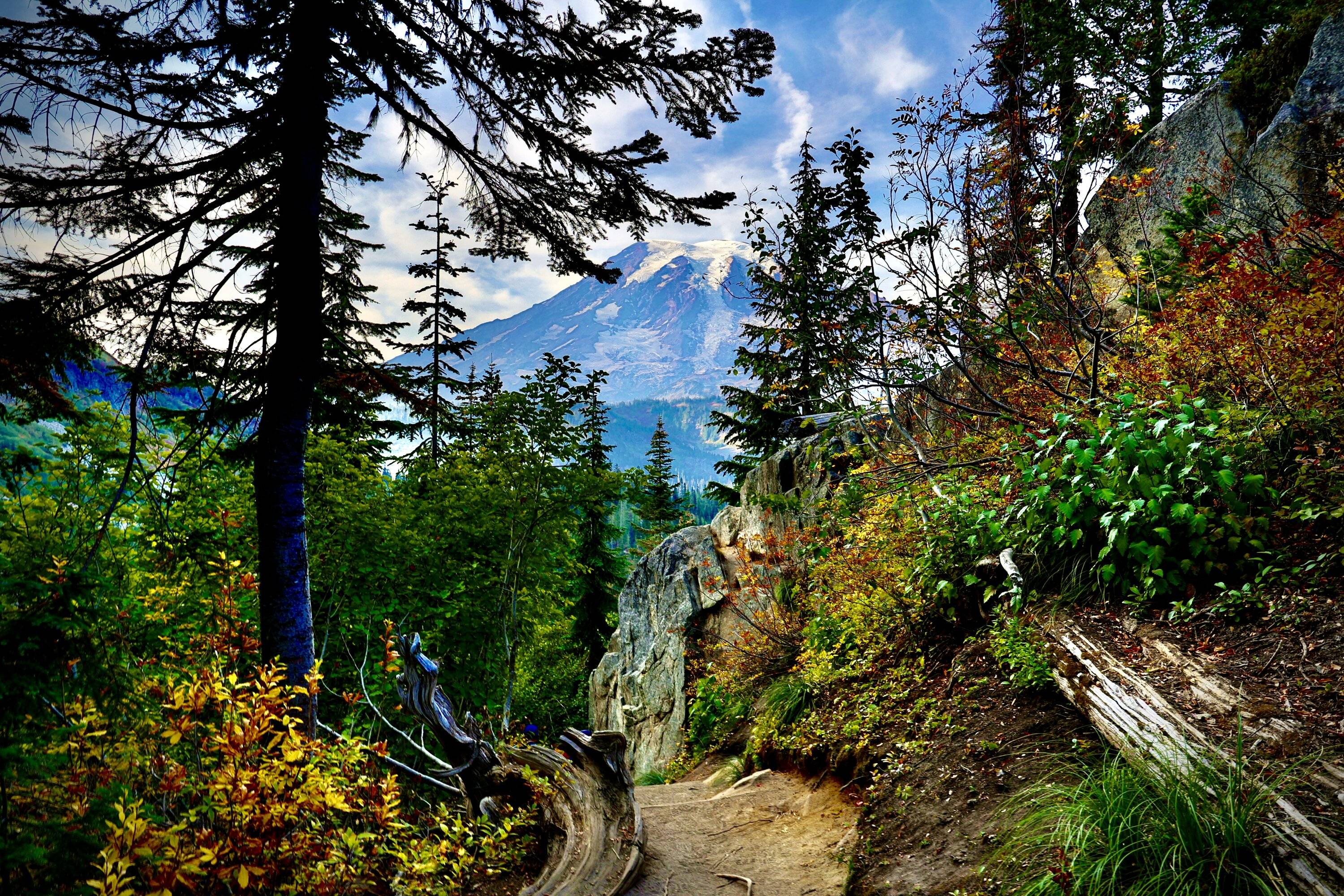 Ford Bronco Sport Mt Rainier 20221014_223802330_iOS 1