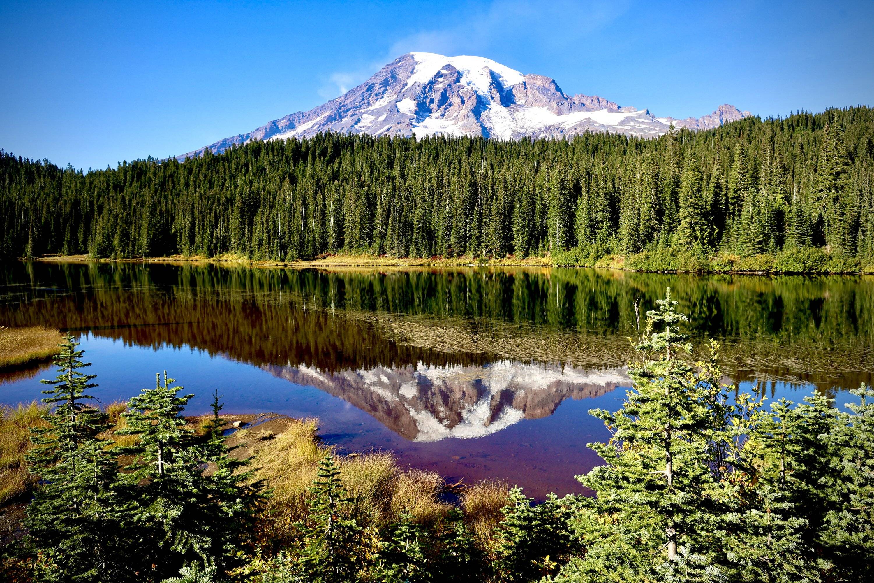 Ford Bronco Sport Mt Rainier Mt Rainier 2022 (09)