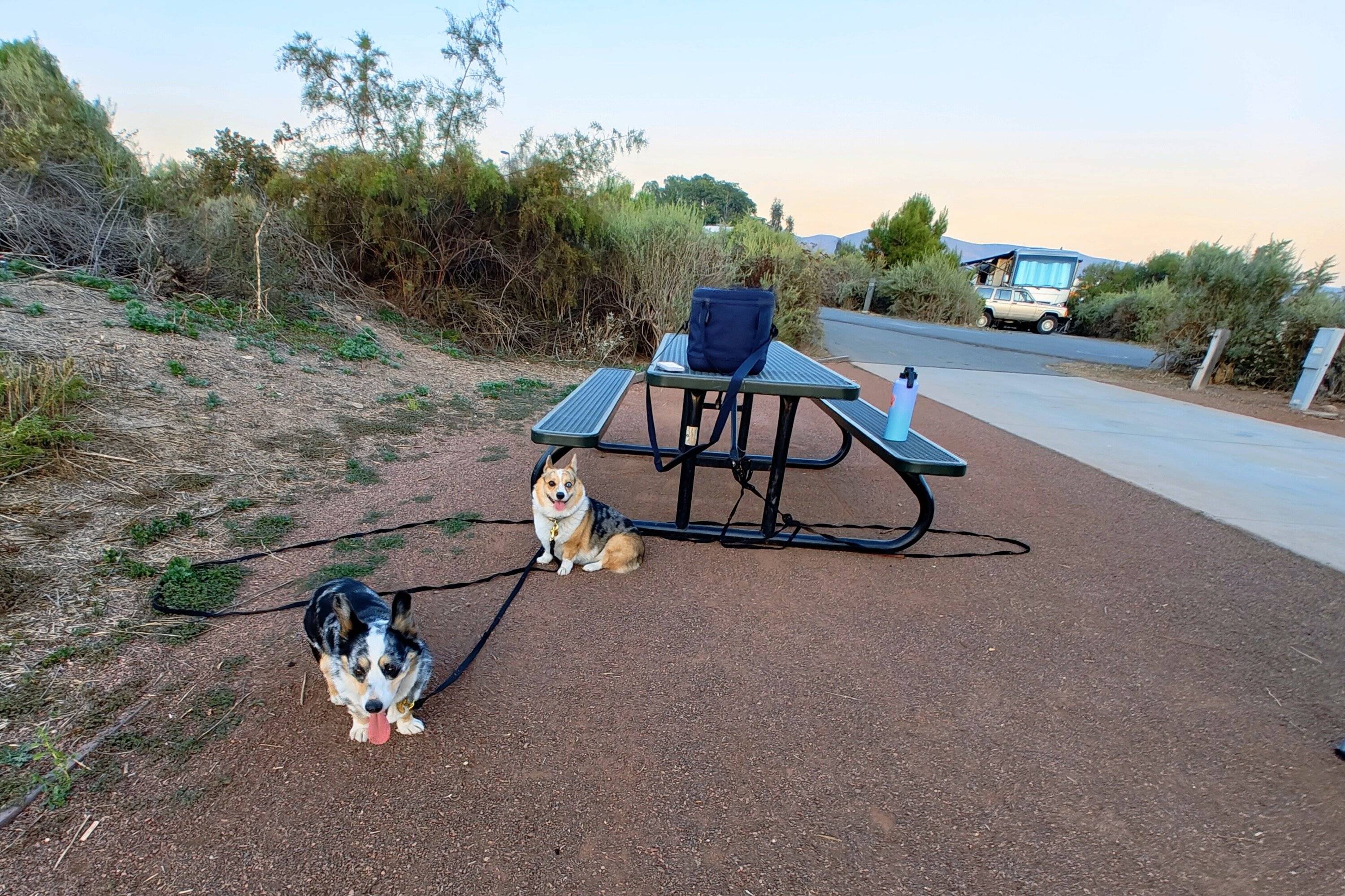 Ford Bronco Sport What did you do TO your Bronco Sport today? IMG_20231008_182051794~3
