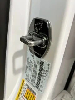 Ford Bronco Sport Say Hello and Introduce Yourself! ? IMG_2028 (1)