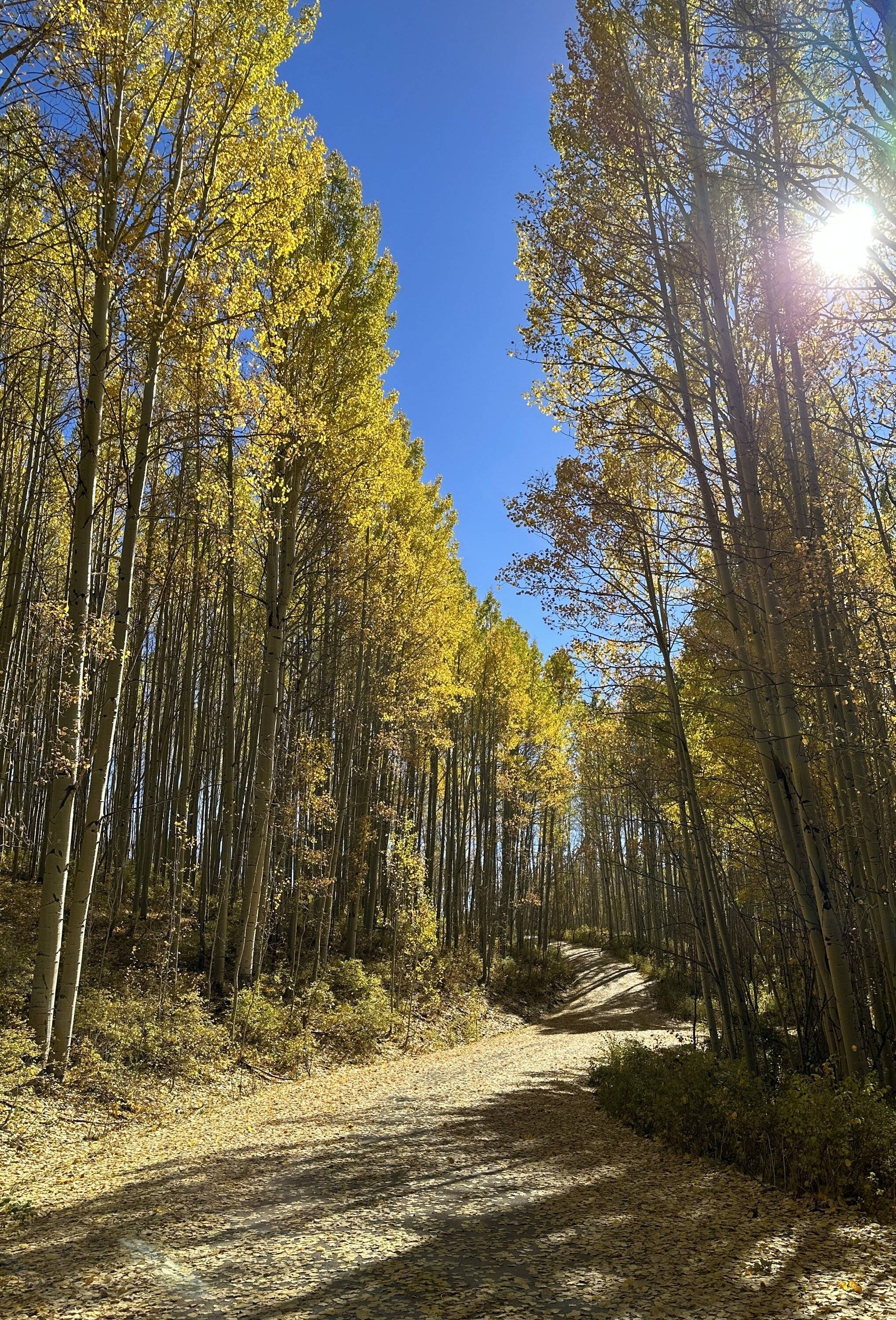 Ford Bronco Sport Echo Basin in the San Juans IMG_1642