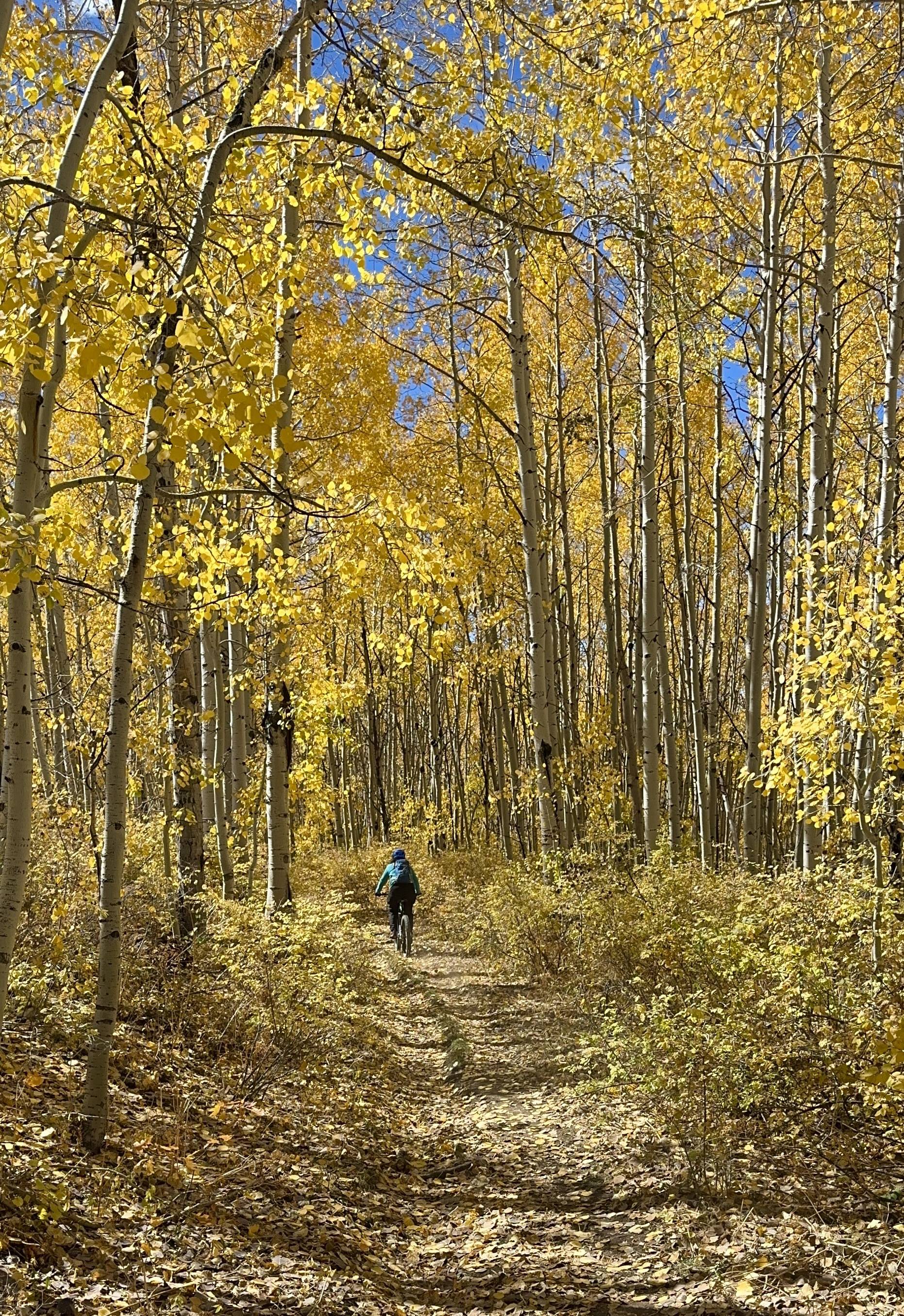 Ford Bronco Sport Echo Basin in the San Juans IMG_5873