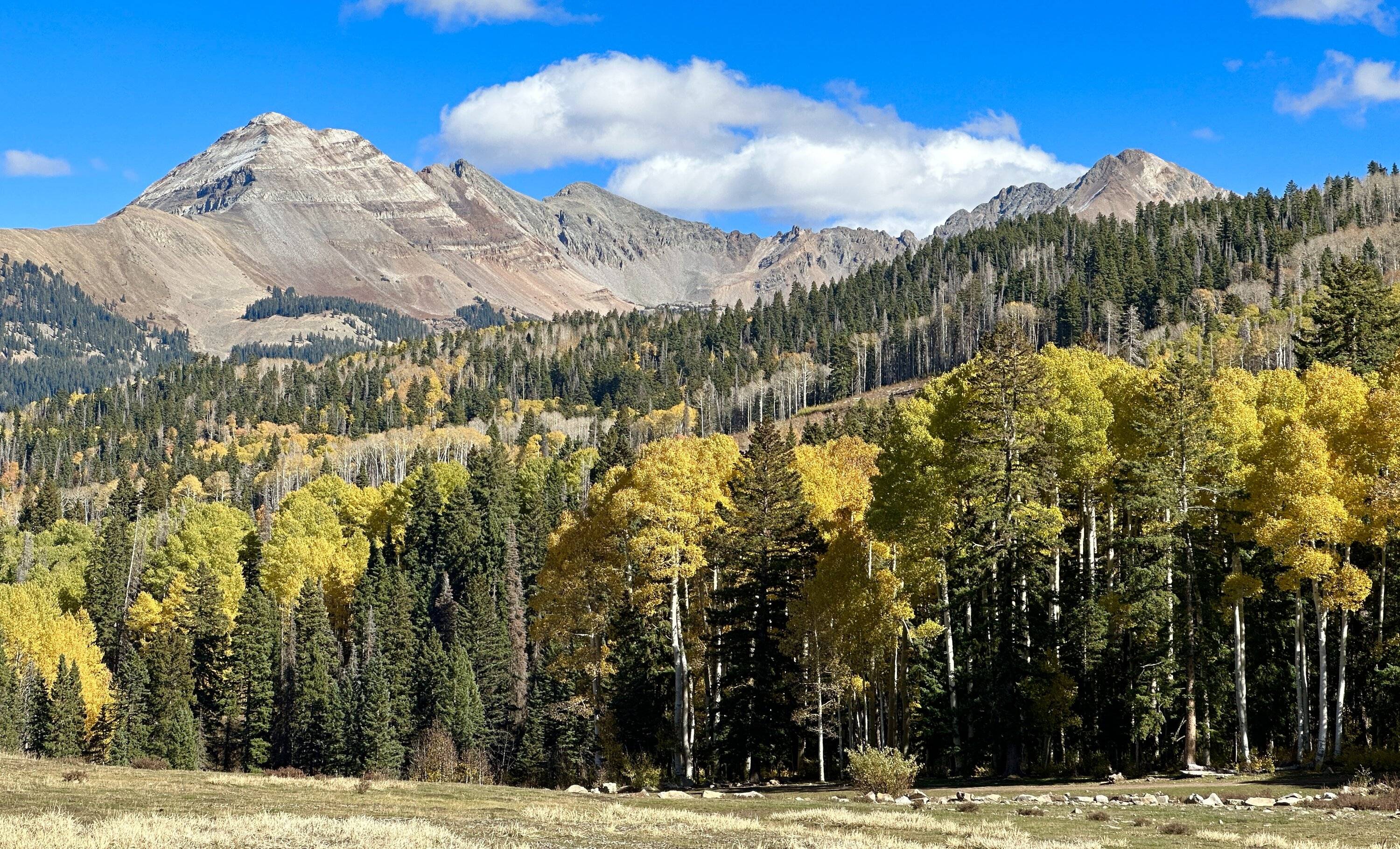 Ford Bronco Sport Echo Basin in the San Juans IMG_1592
