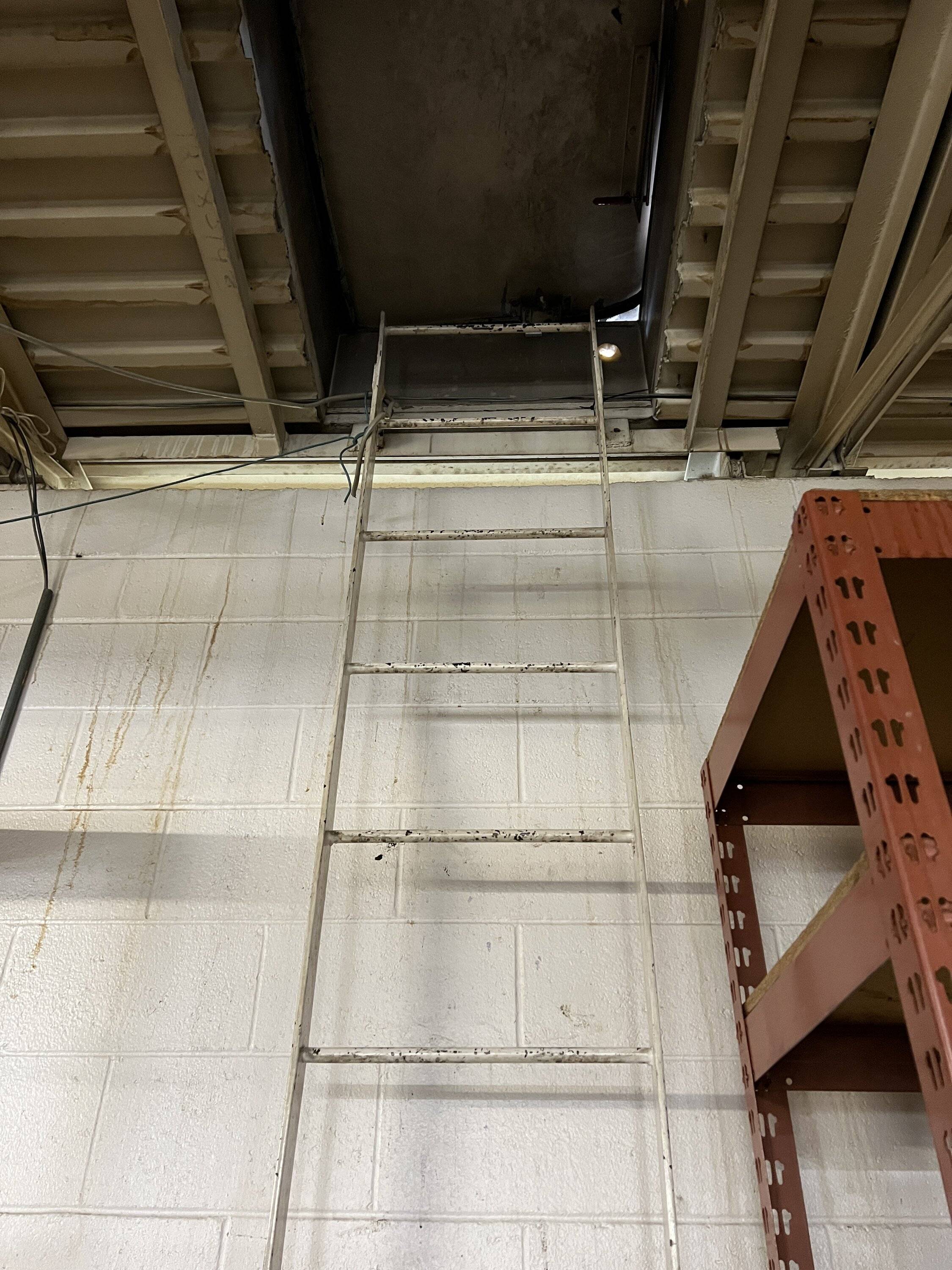 Ford Bronco Sport First Bronco Day A Success 8CF523A0-DDF9-49AF-9410-CCA01C6CD7ED