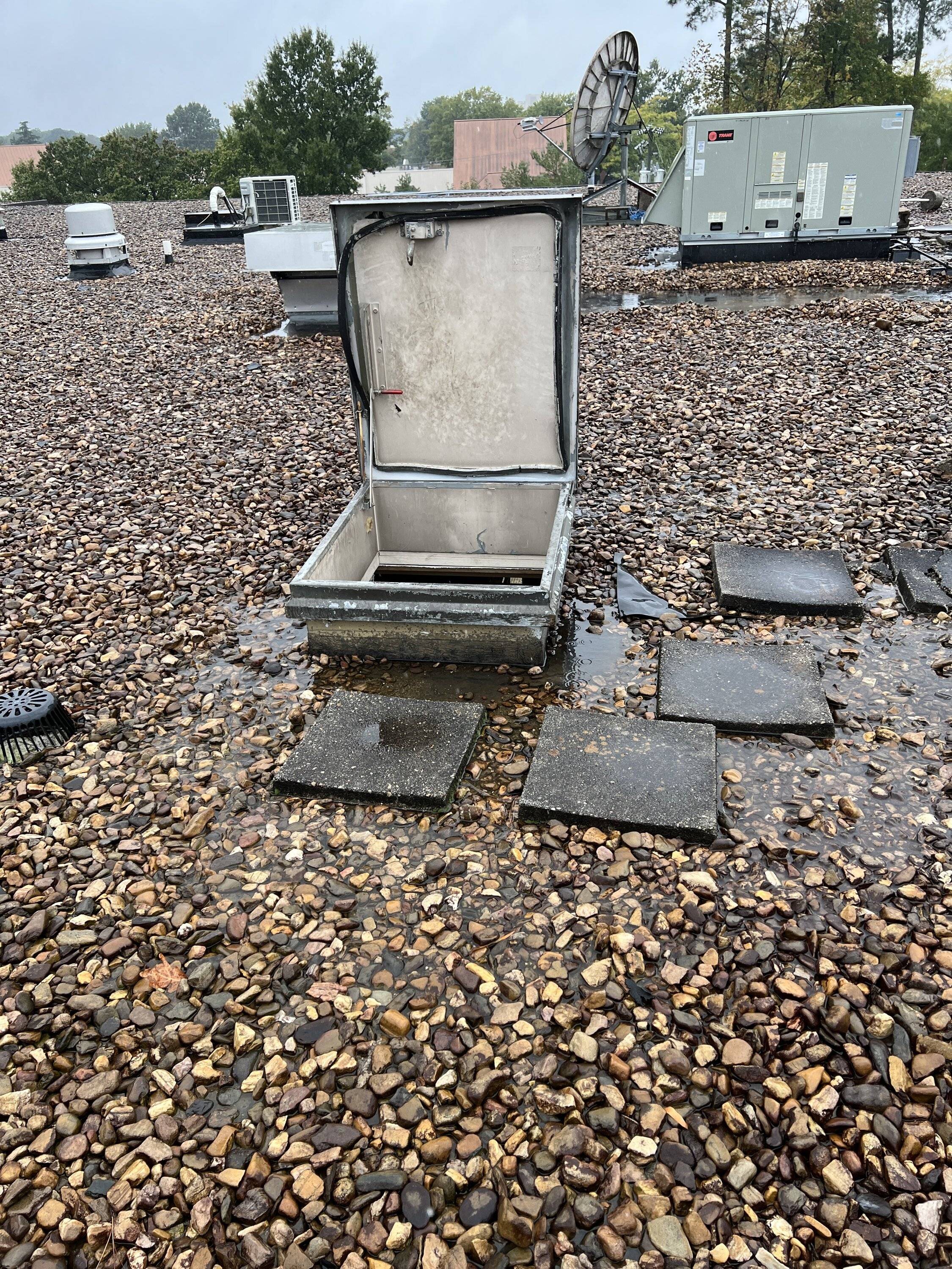 Ford Bronco Sport First Bronco Day A Success 5F11223F-03DB-4550-BFE2-80B936E73ABA