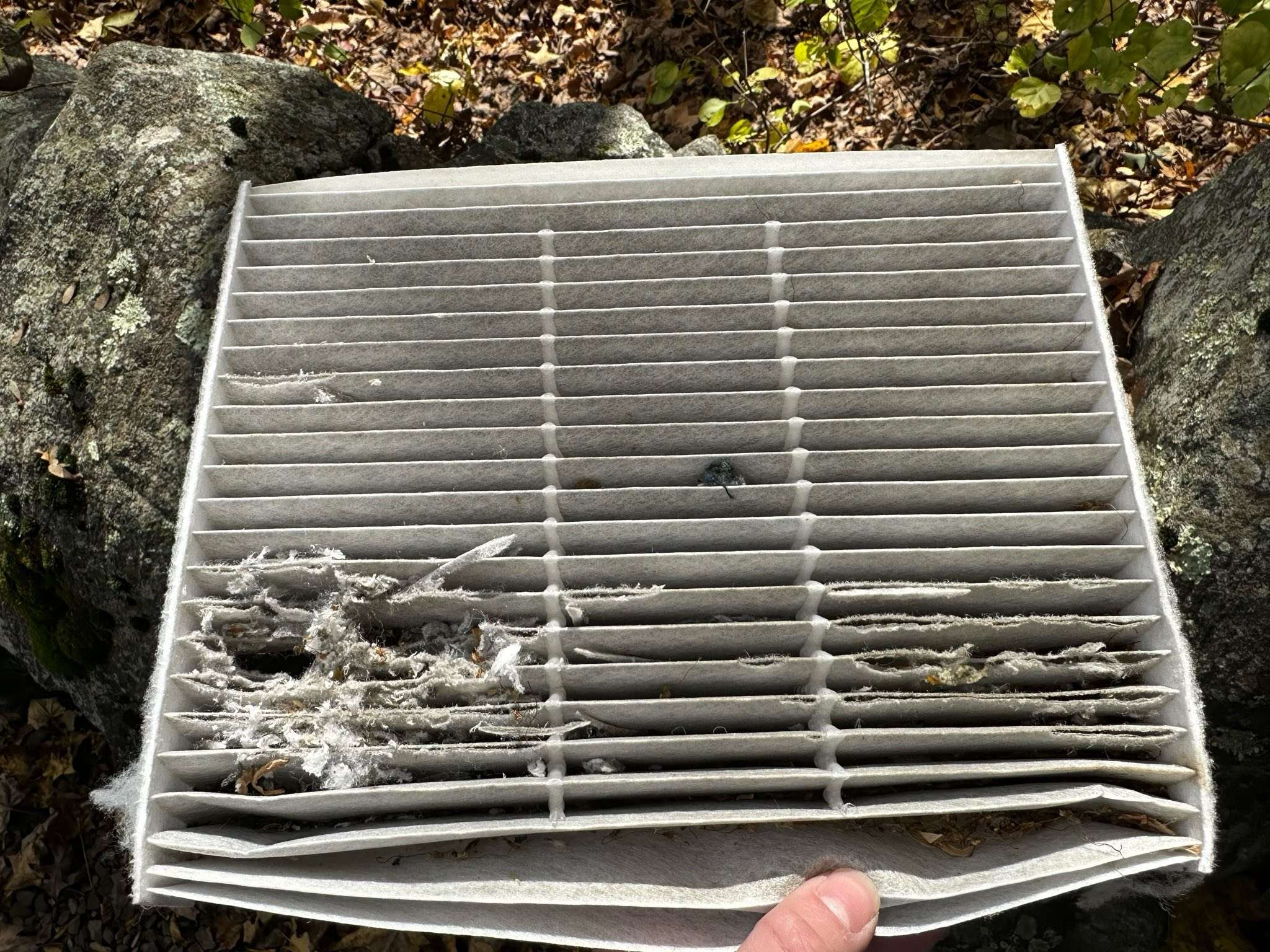 Ford Bronco Sport What did you do TO your Bronco Sport today? airfilter