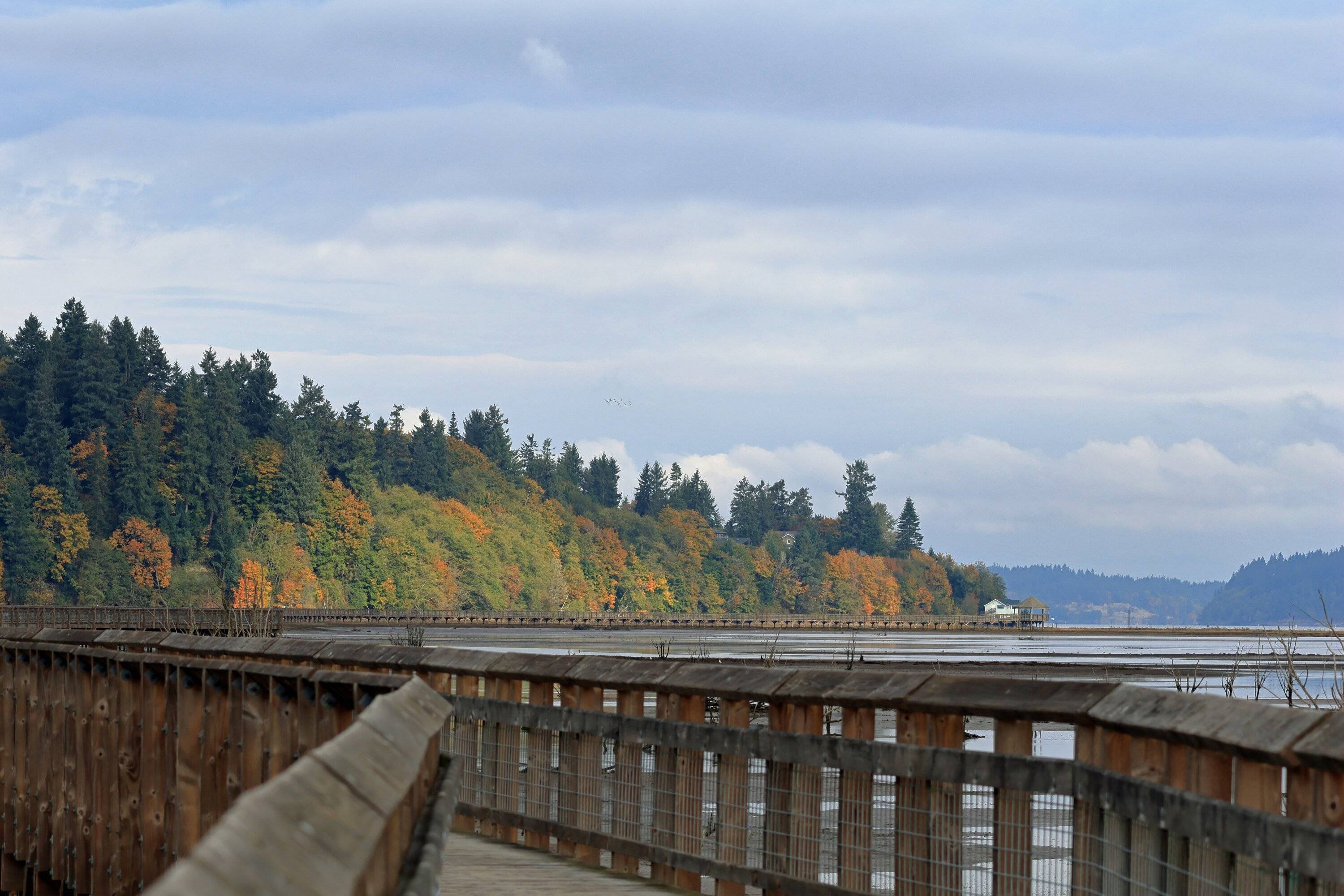 Ford Bronco Sport Puget Sound Bronco Sports DKP_5034small