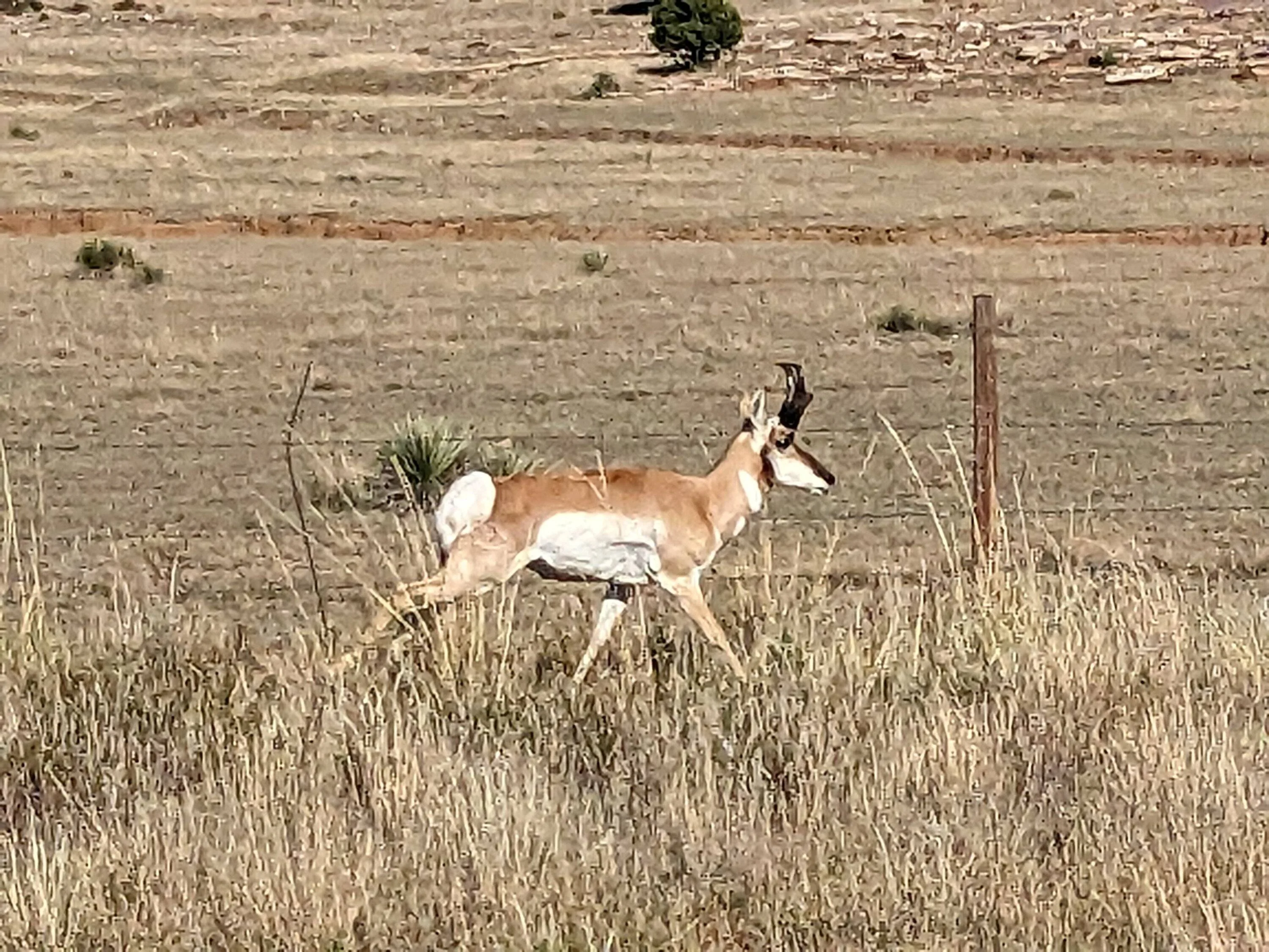 Ford Bronco Sport Off Roadeo trip, 3000 miles in 12 days PXL_20231018_212110025