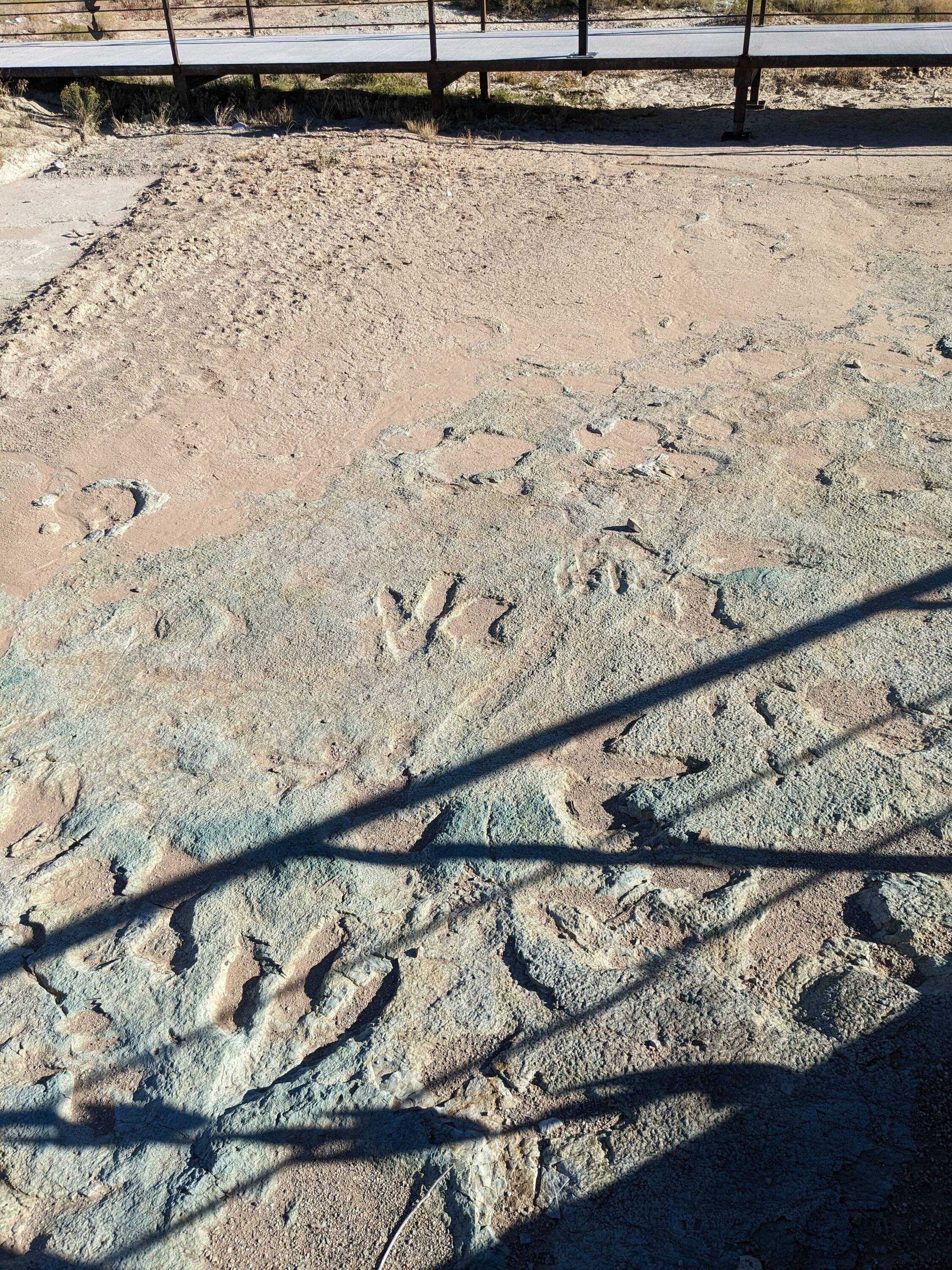 Ford Bronco Sport Off Roadeo trip, 3000 miles in 12 days PXL_20231015_155822440