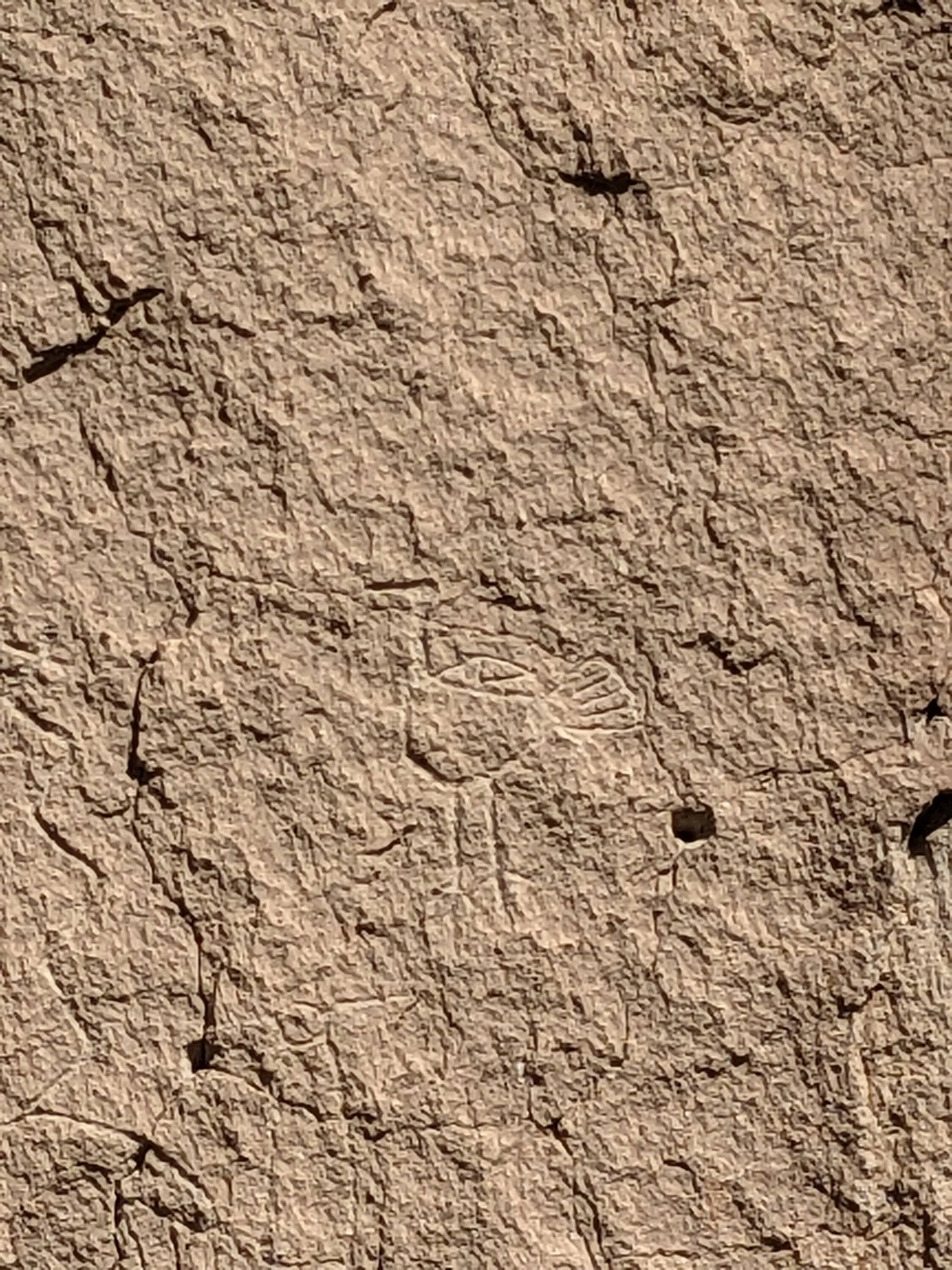 Ford Bronco Sport Off Roadeo trip, 3000 miles in 12 days PXL_20231020_181847070