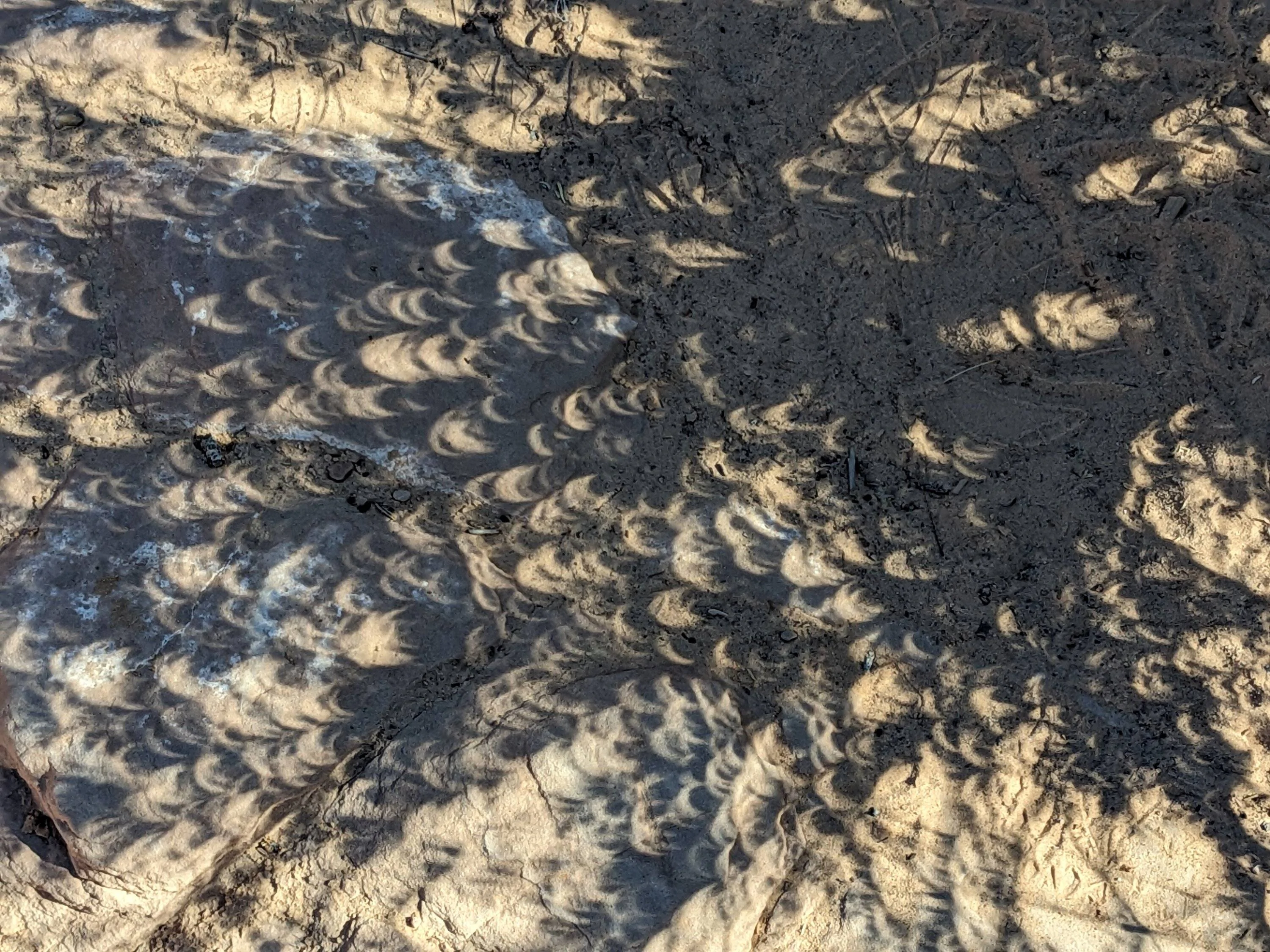 Ford Bronco Sport Off Roadeo trip, 3000 miles in 12 days PXL_20231014_161704575