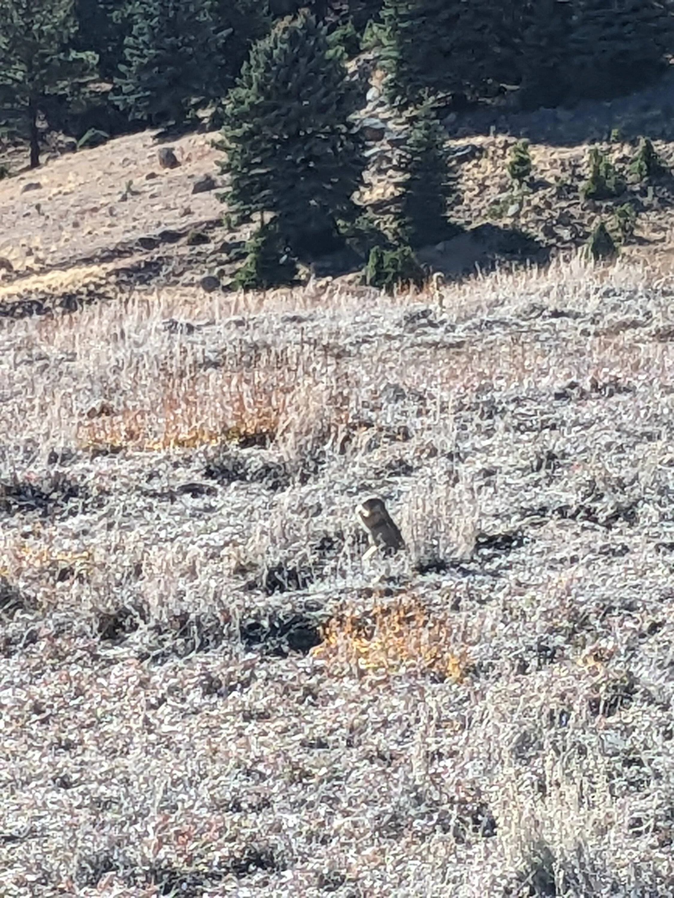 Ford Bronco Sport Off Roadeo trip, 3000 miles in 12 days PXL_20231020_202832875