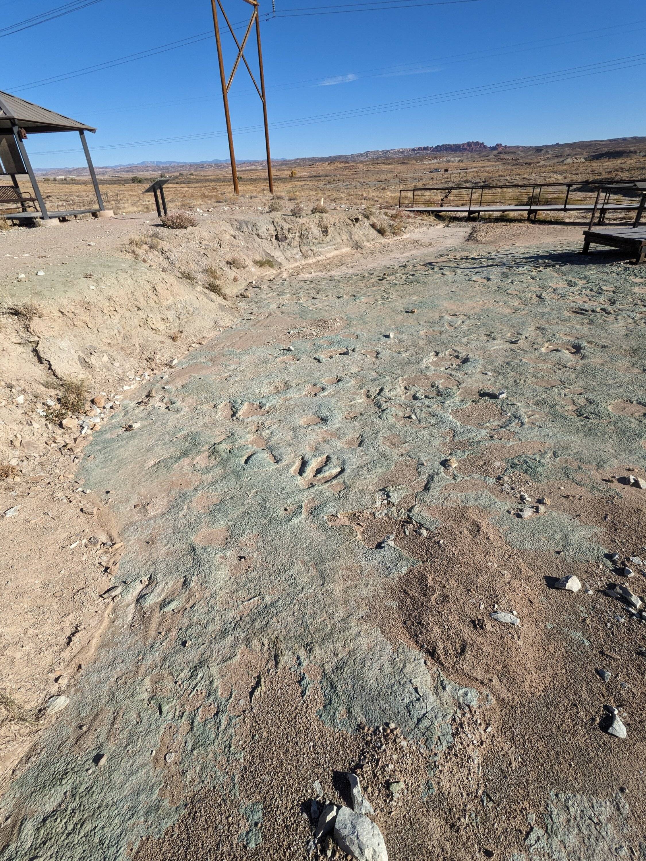 Ford Bronco Sport I lied PXL_20231015_155250887