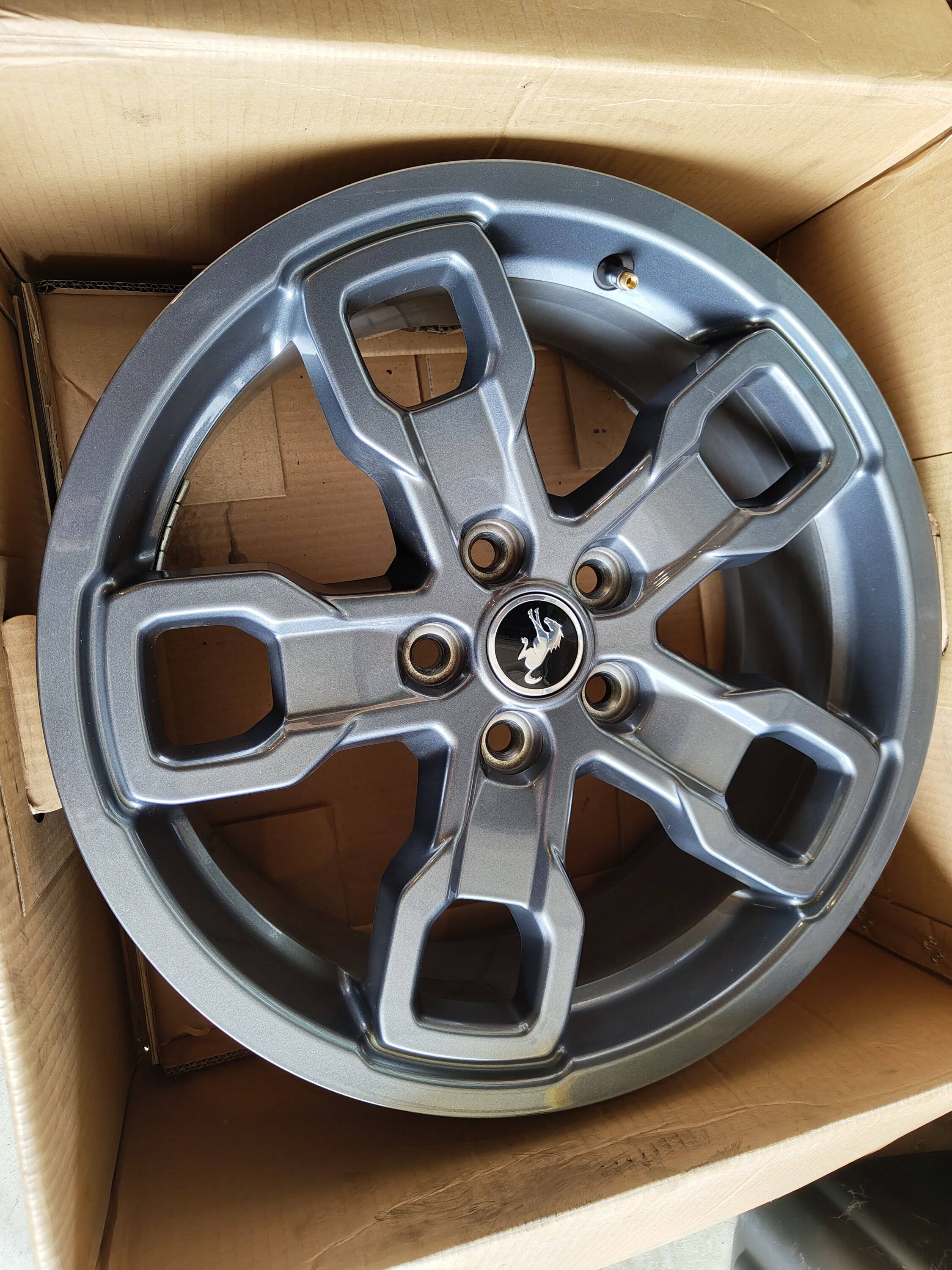 Ford Bronco Sport For sale: Stock BS Big Bend wheels (400) IMG_20230930_110549205