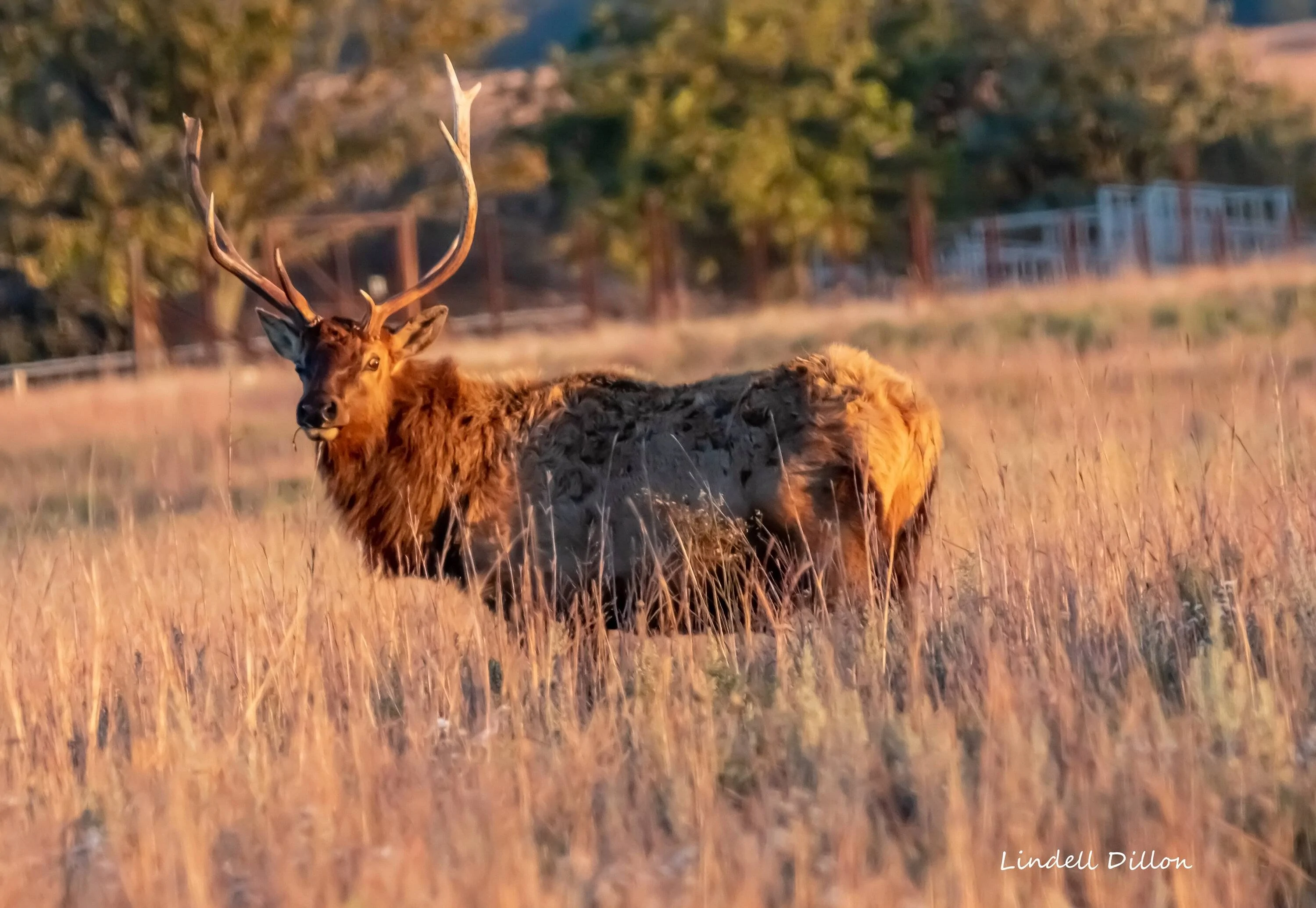 Ford Bronco Sport Post the best photos you've got of your Bronco Sport Wichitas 086