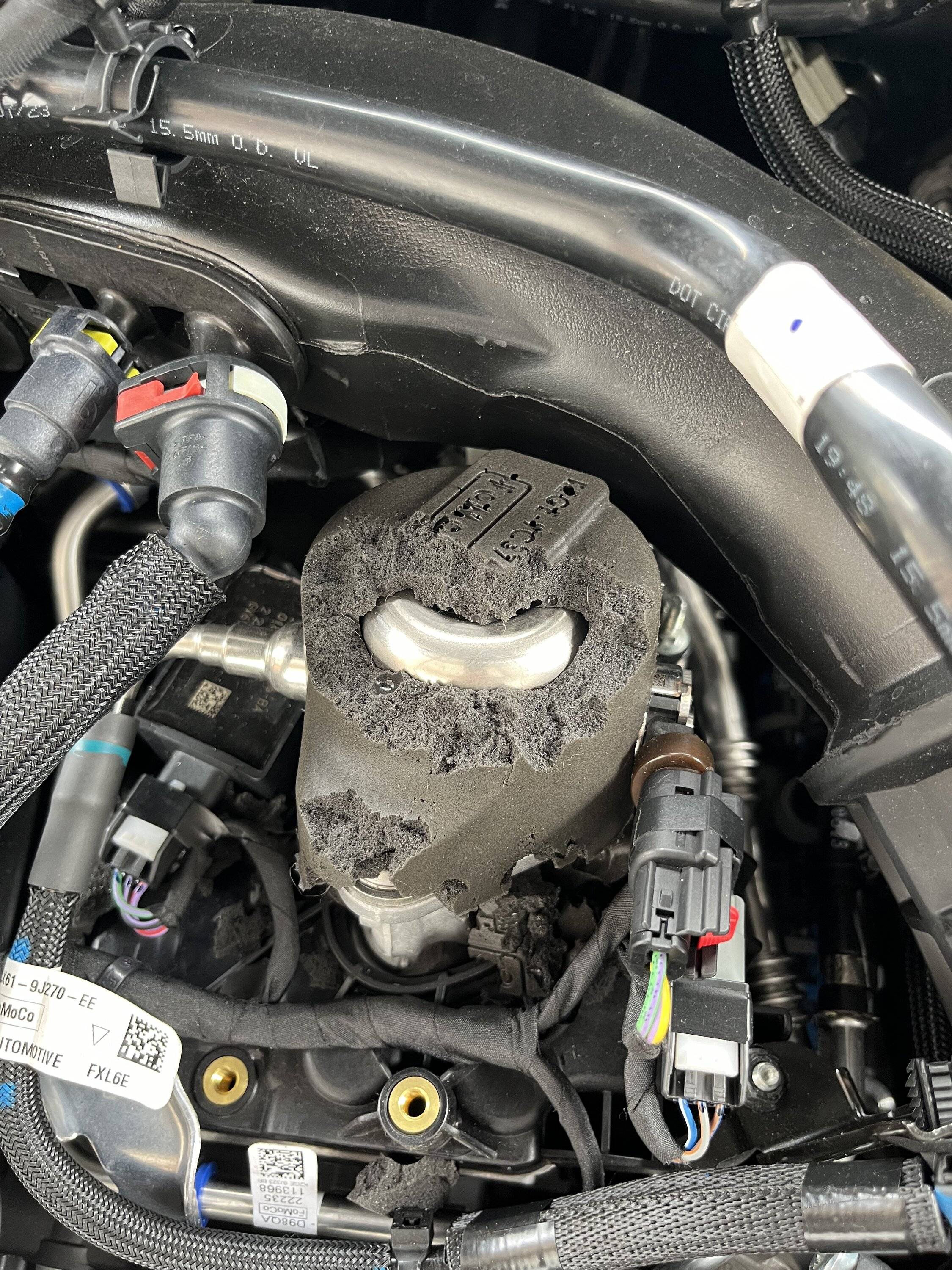 Ford Bronco Sport Deterring mice from the BS (nesting on cabin air filter) IMG_1222