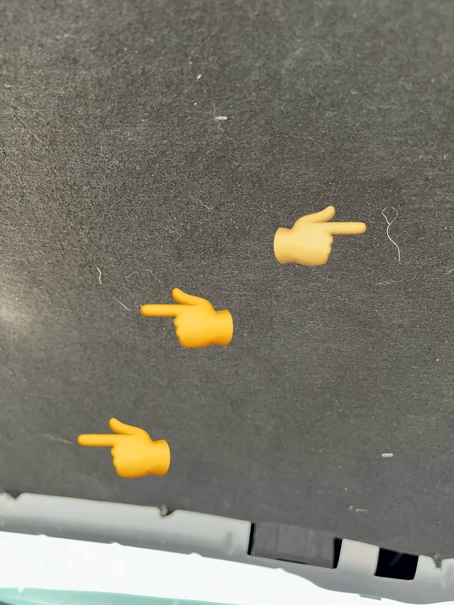 Ford Bronco Sport Deterring mice from the BS (nesting on cabin air filter) IMG_1224