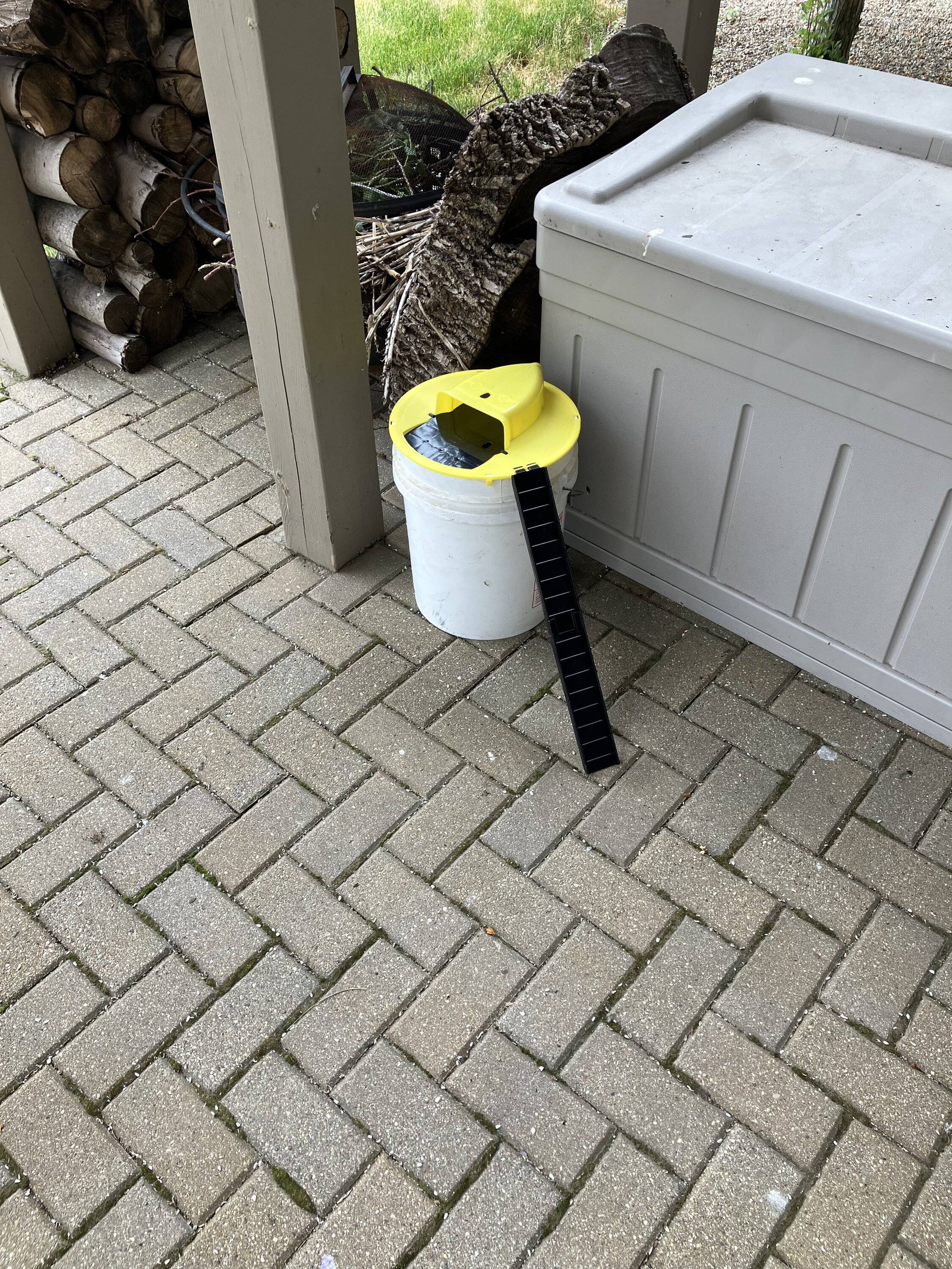 Ford Bronco Sport Deterring mice from the BS (nesting on cabin air filter) IMG_2677