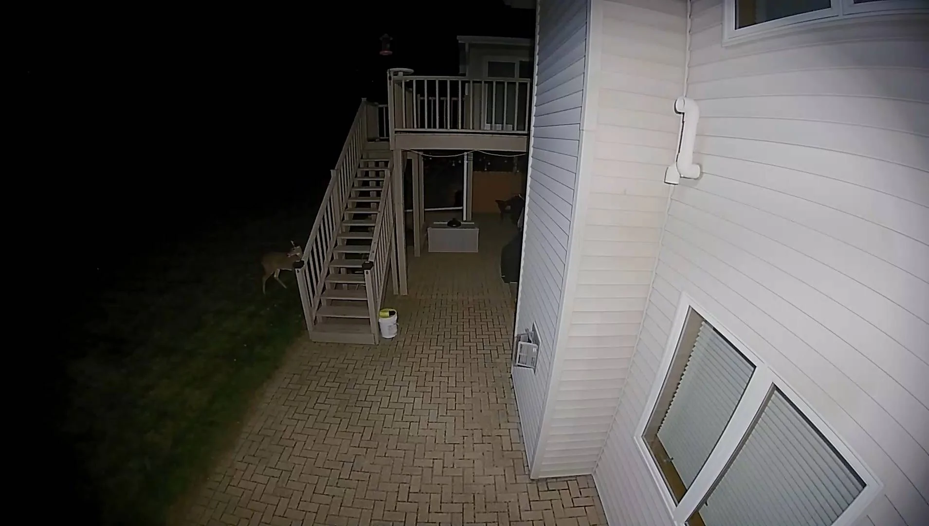 Ford Bronco Sport Deterring mice from the BS (nesting on cabin air filter) IMG_3039