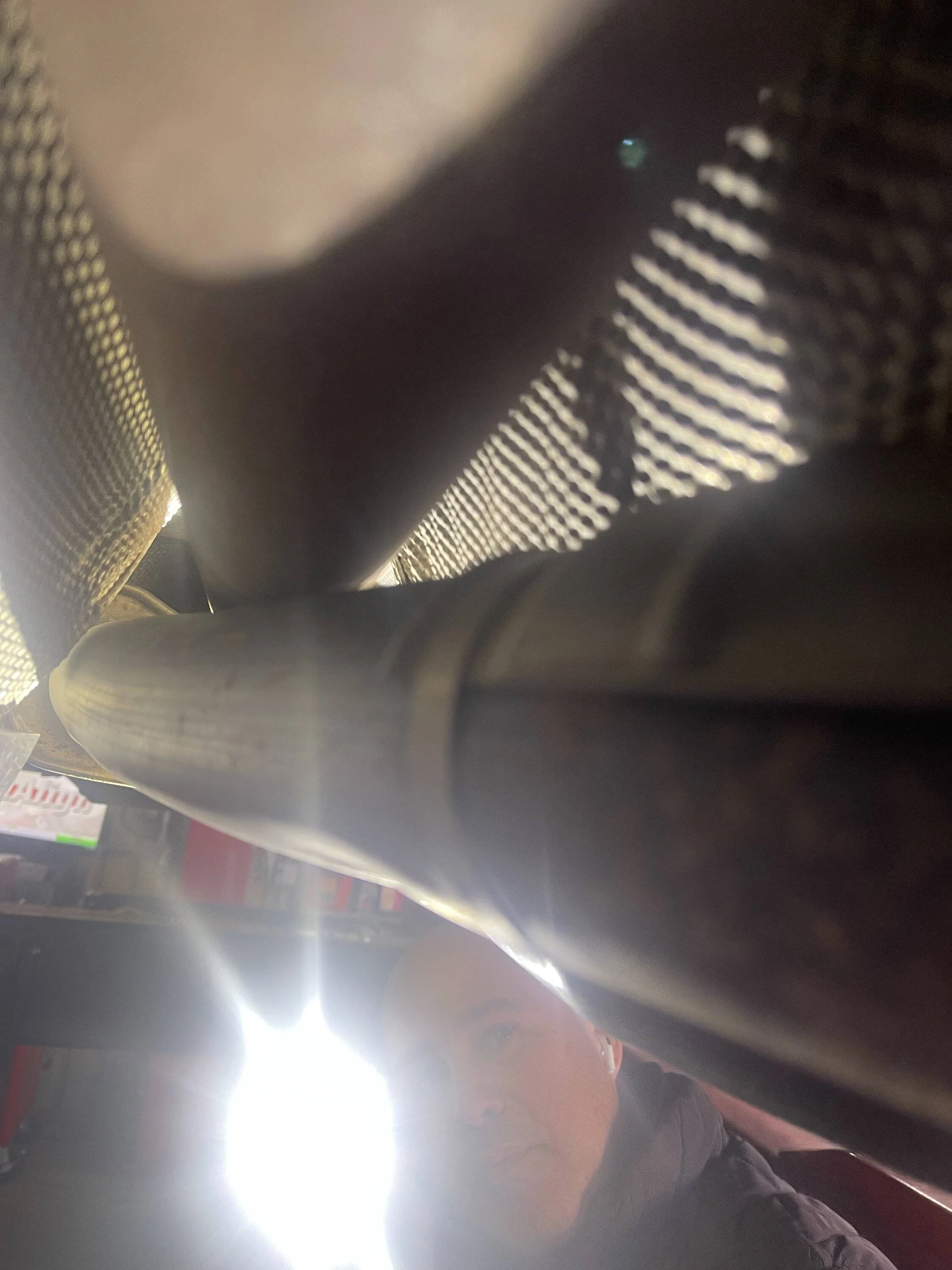 Ford Bronco Sport When Sirens Call of the Wild IMG_0630