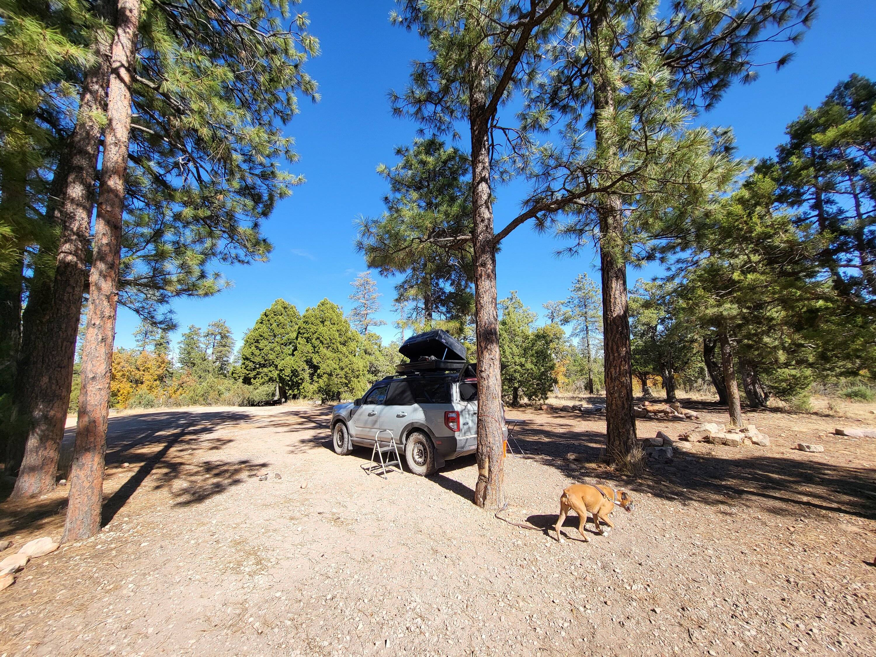 Ford Bronco Sport Camping/RV'ing 20231105_115152