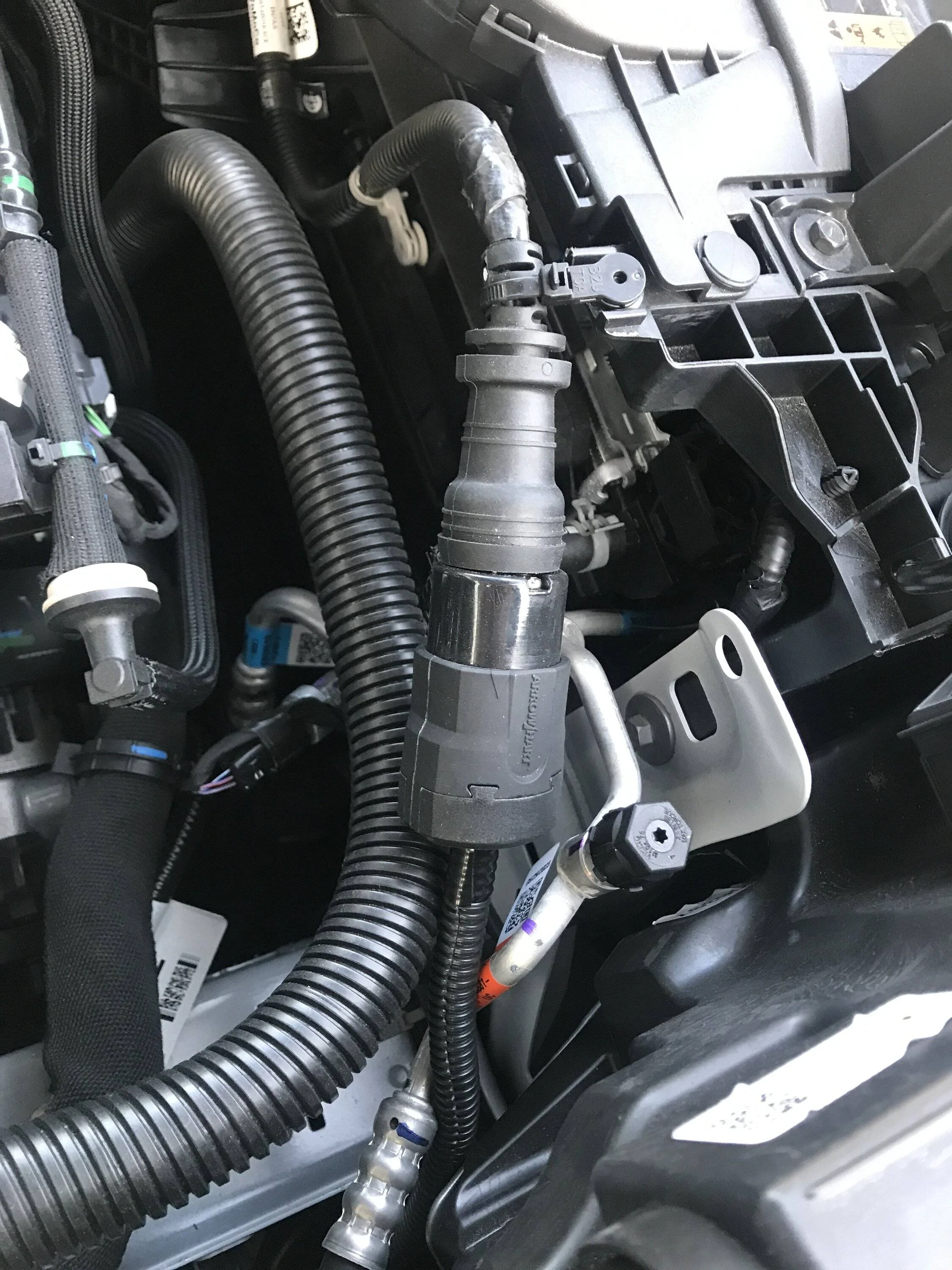 Ford Bronco Sport Bronco Sport Block Heater - Cord Rerouting IMG_2990