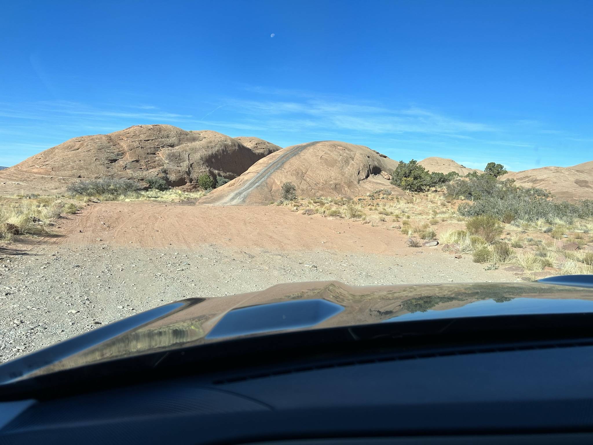 Ford Bronco Sport Lies, Damn Lies, and Statistics - A Moab trip and ownership summary (Bronco Sport Heritage) Baby Lions Back