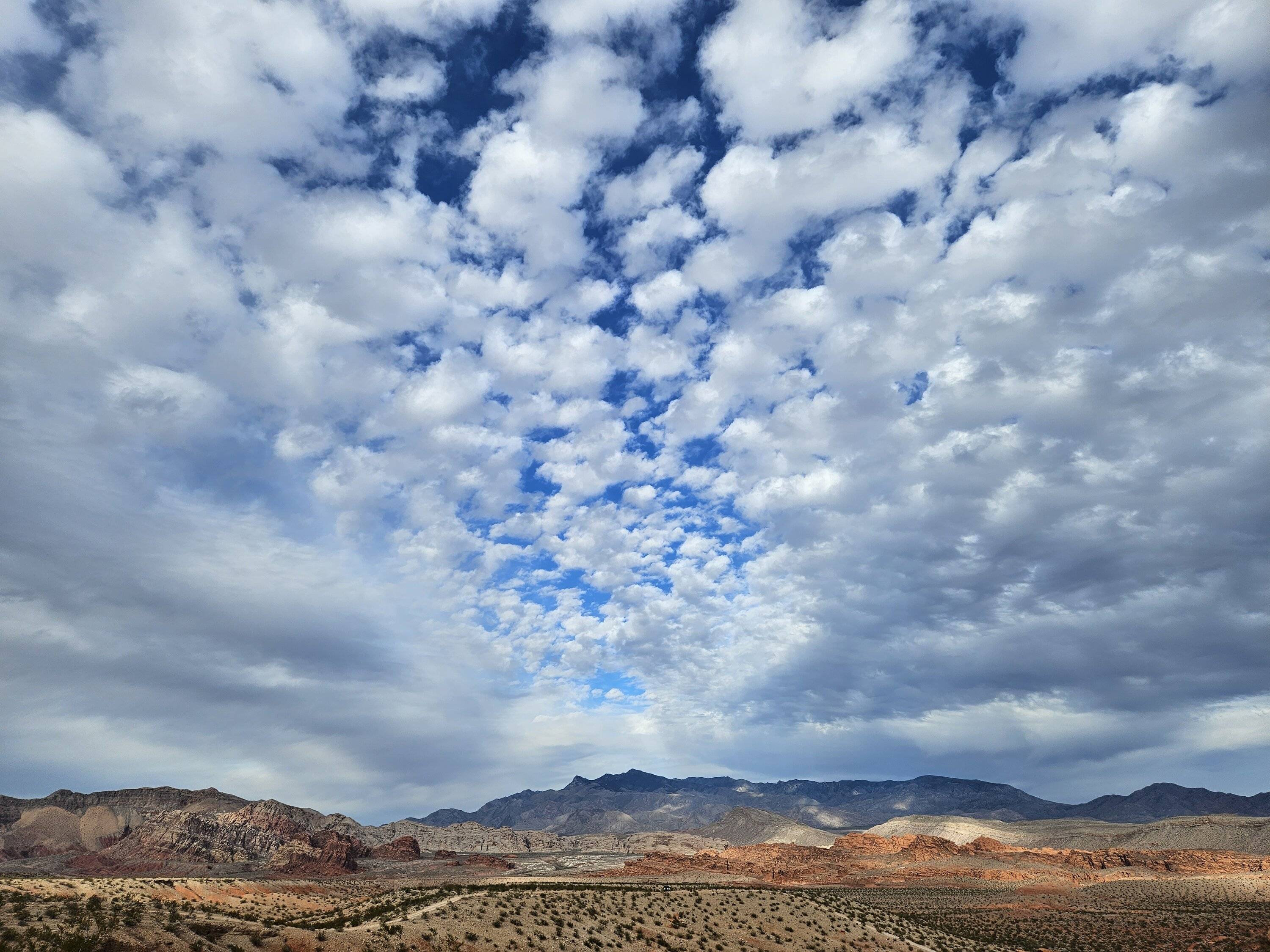 Ford Bronco Sport Happy Thanksgiving y'all! 20231123_140859