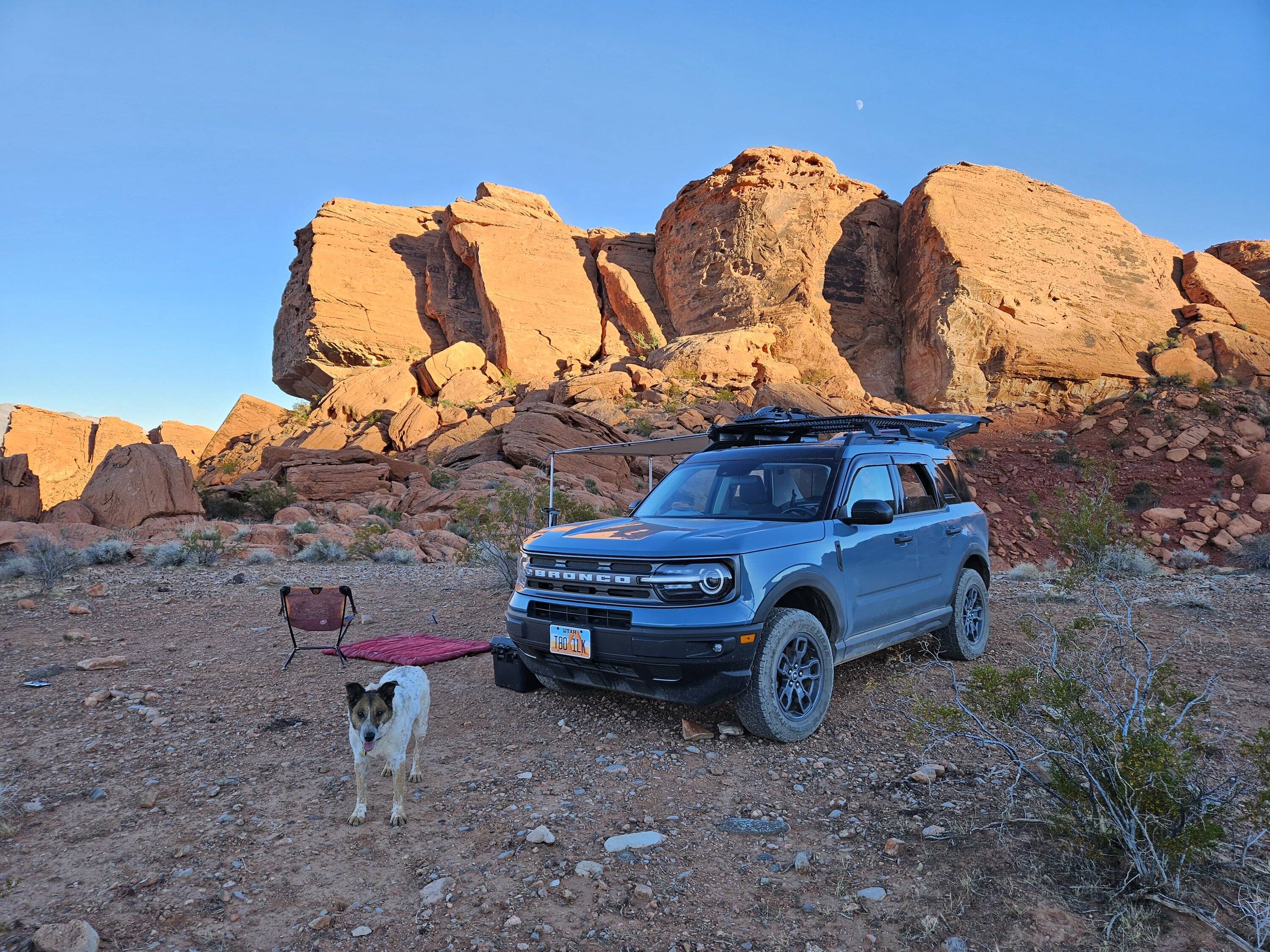 Ford Bronco Sport Happy Thanksgiving y'all! 20231121_152656