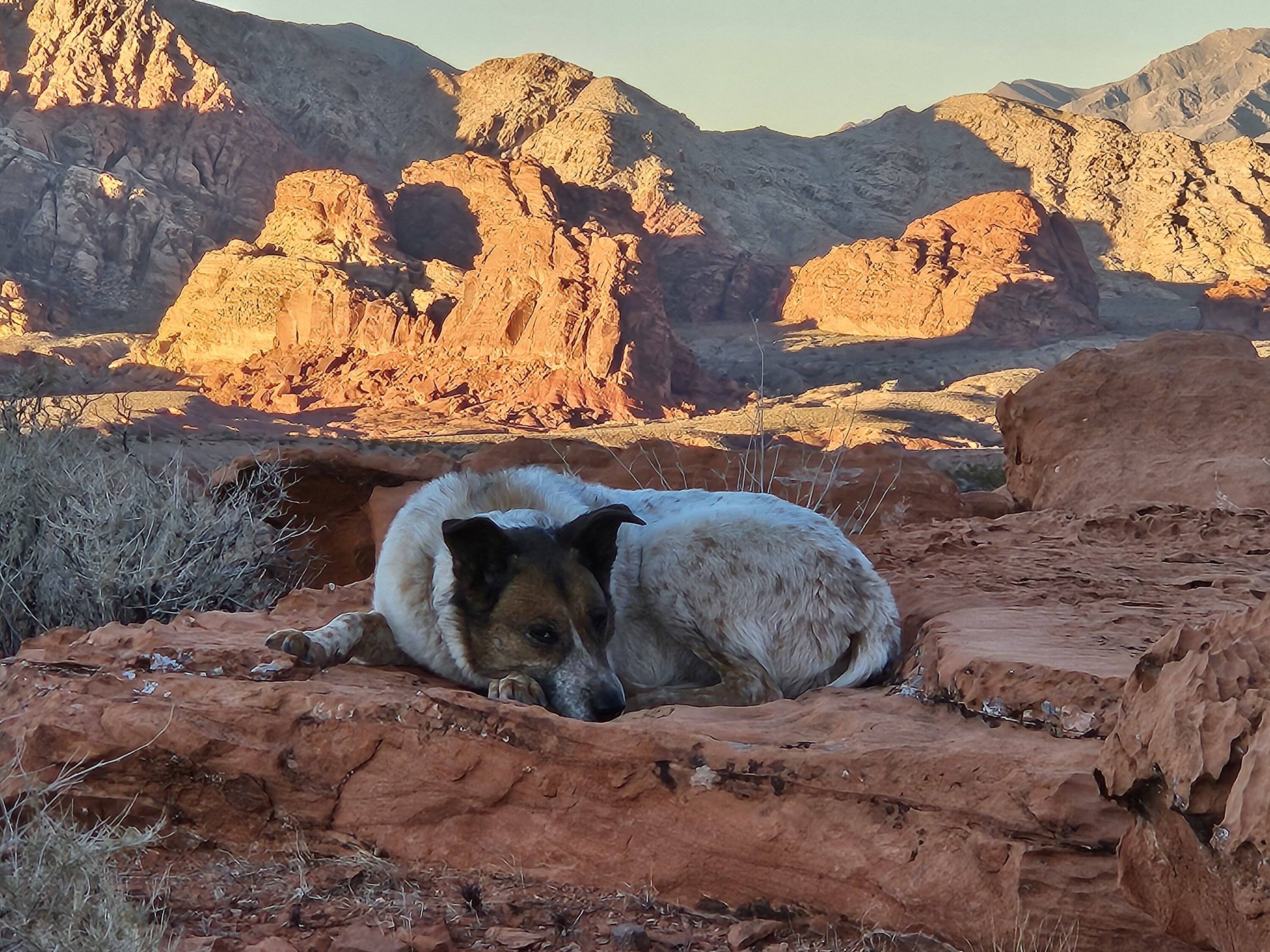 Ford Bronco Sport Happy Thanksgiving y'all! 20231121_155745