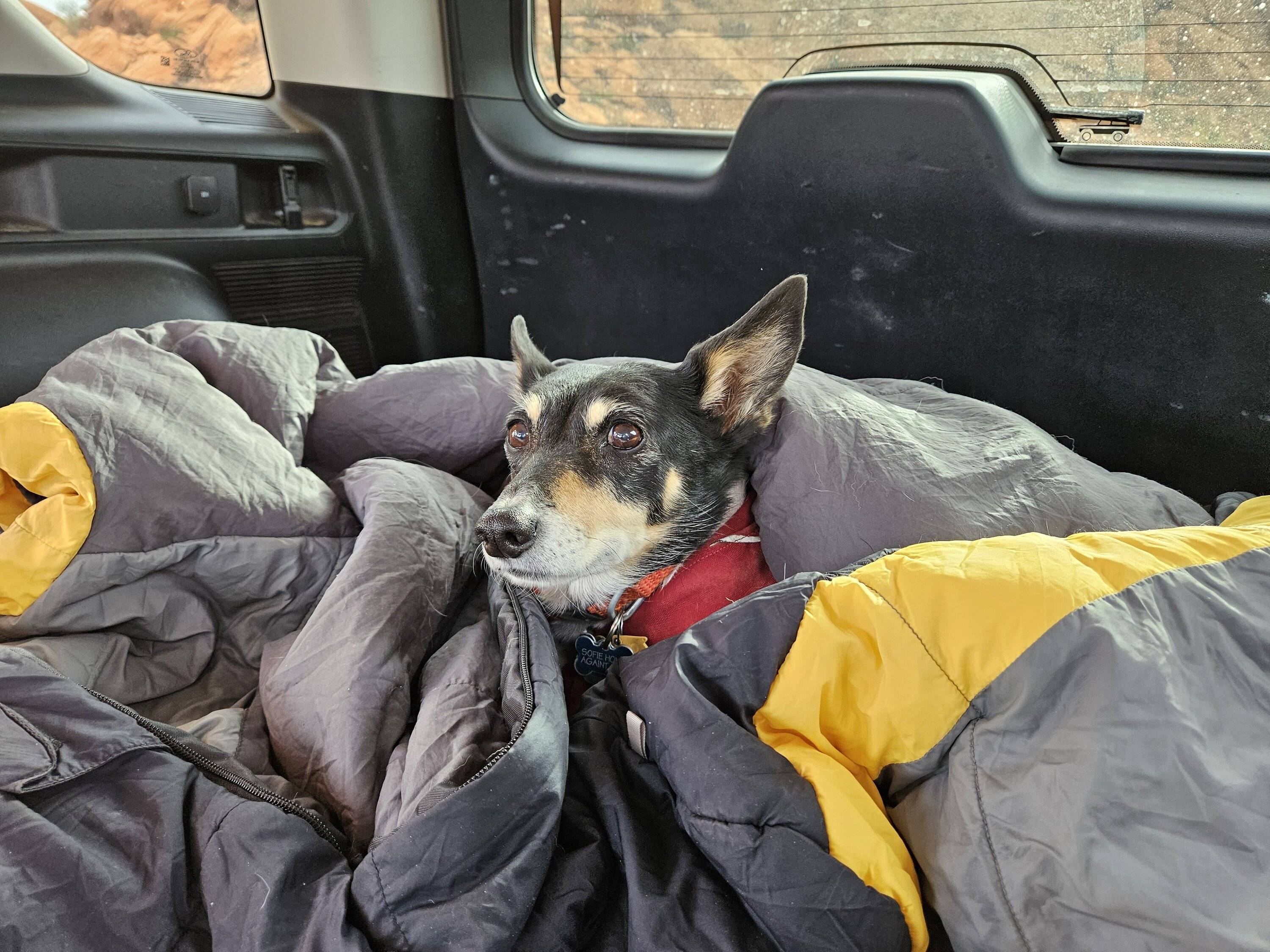 Ford Bronco Sport Happy Thanksgiving y'all! 20231123_085742