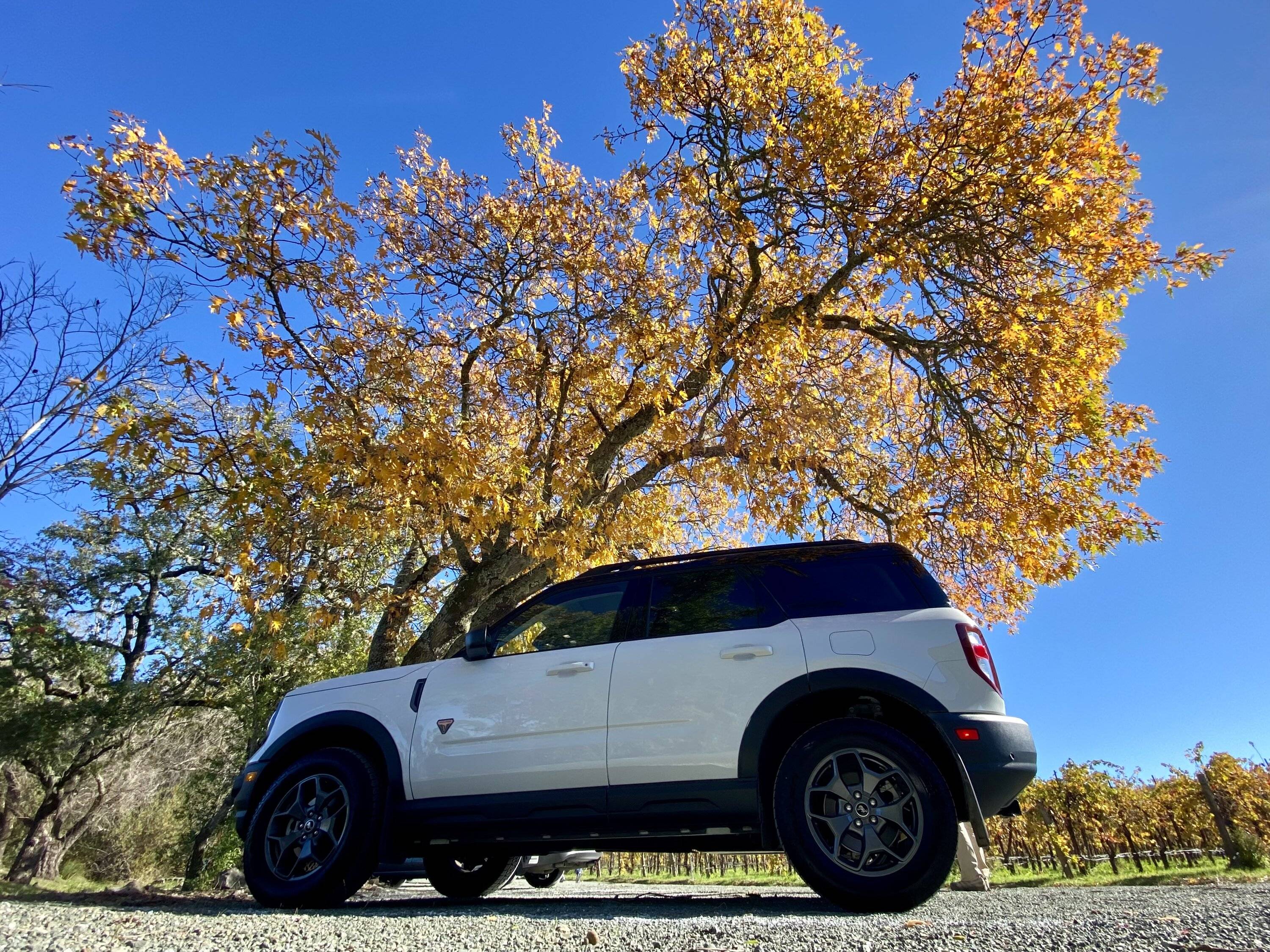 Ford Bronco Sport Post the best photos you've got of your Bronco Sport IMG_6905