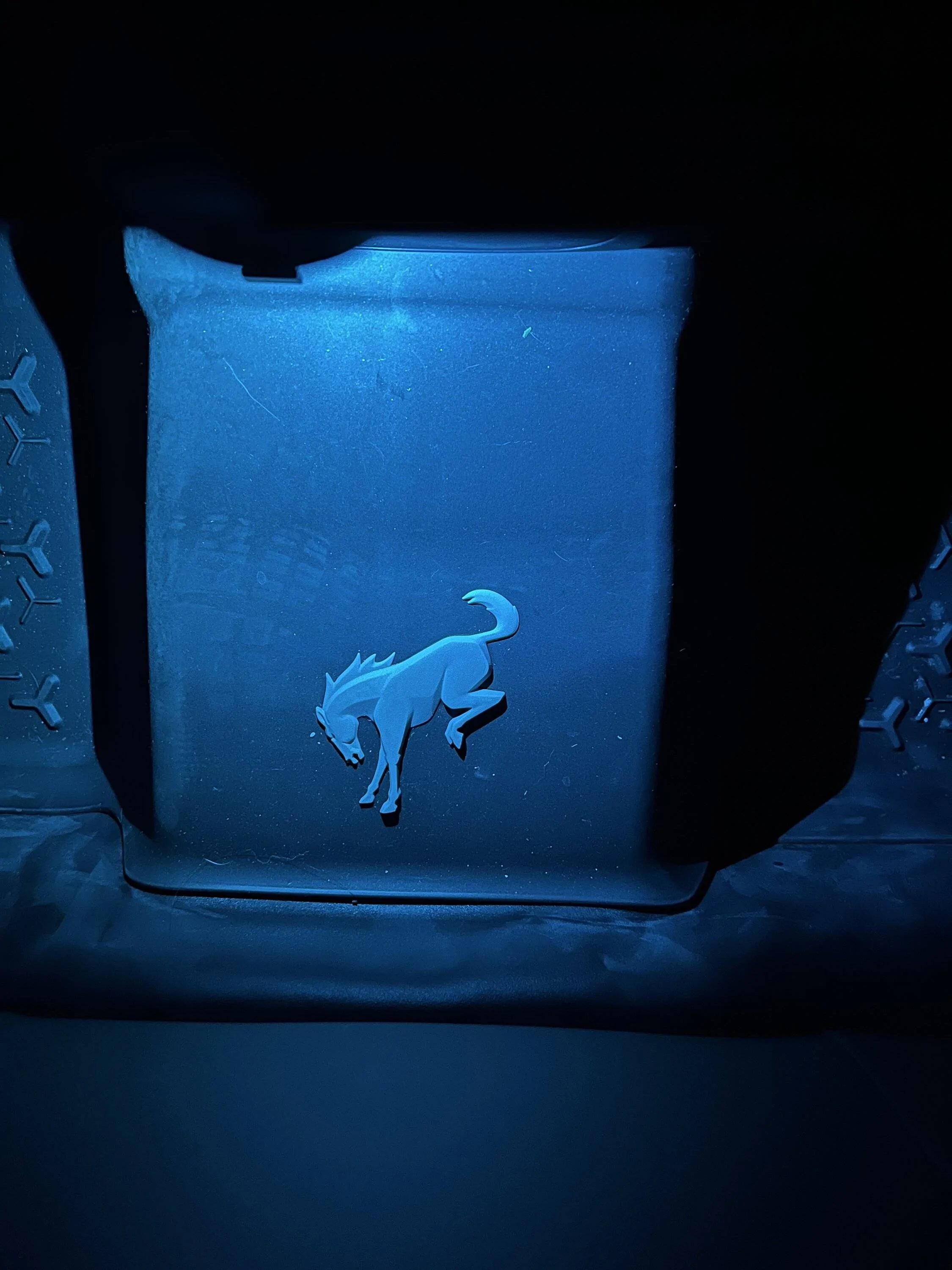 Ford Bronco Sport What did you do TO your Bronco Sport today? IMG_7911